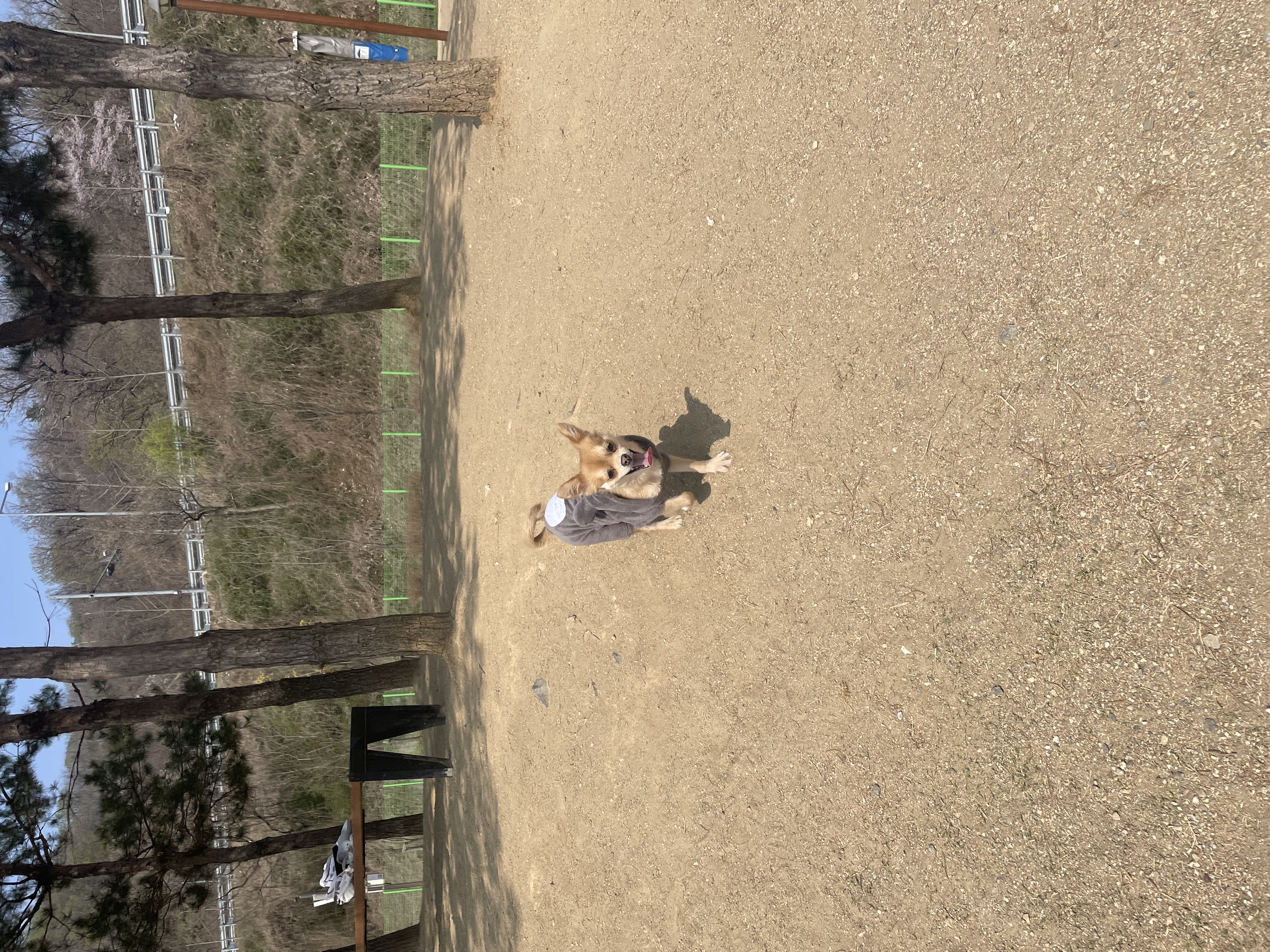 미로(구 오원) 7개월 이야기