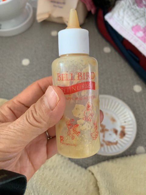 우리가 어떻게 하고 있나 궁금하실까 해서요