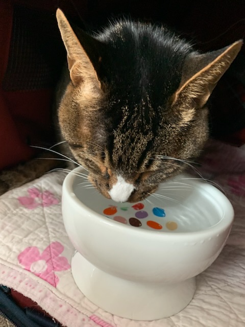 우리가 어떻게 하고 있나 궁금하실까 해서요