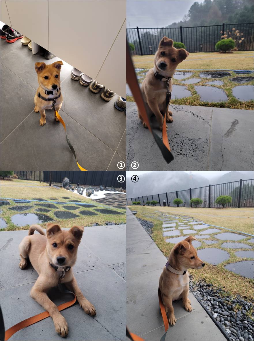 호두(구.오트), 한달 이야기