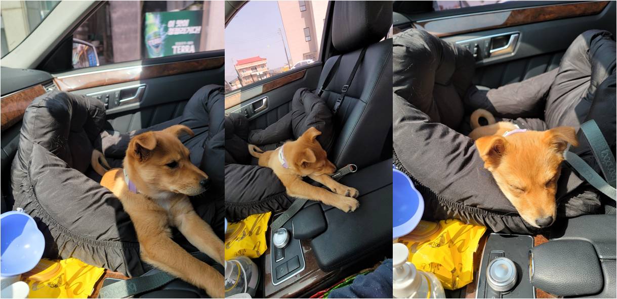 호두(구.오트), 한달 이야기