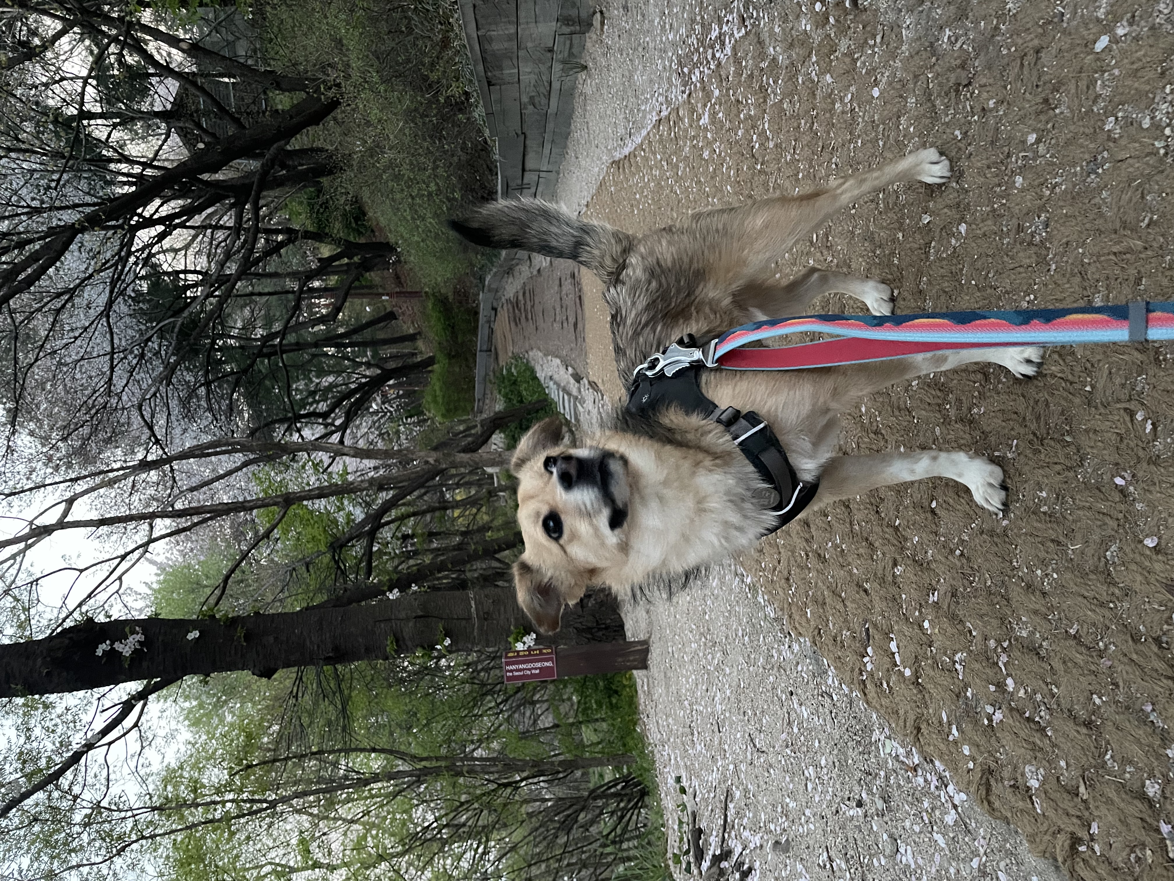 지구와 가족이 되었어요!