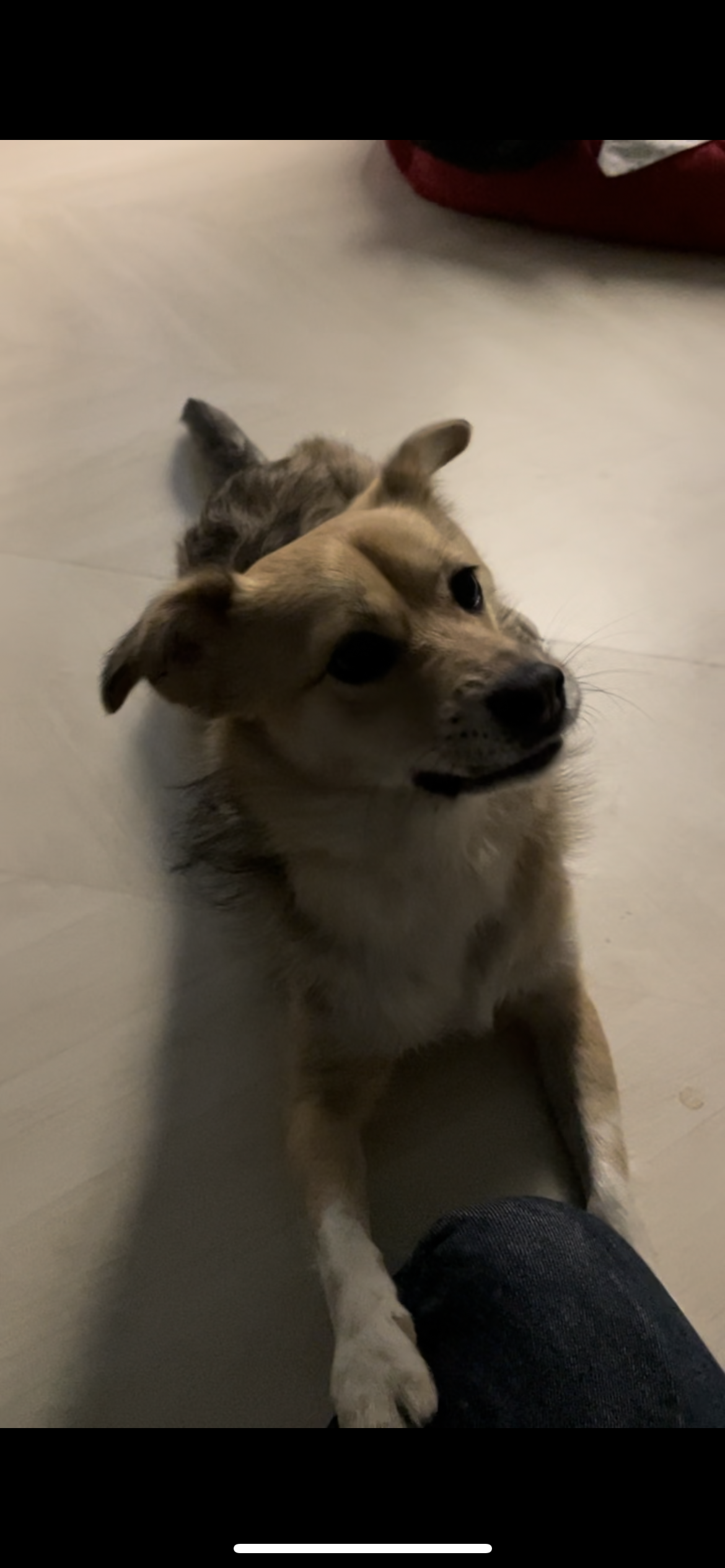 지구와 가족이 되었어요!