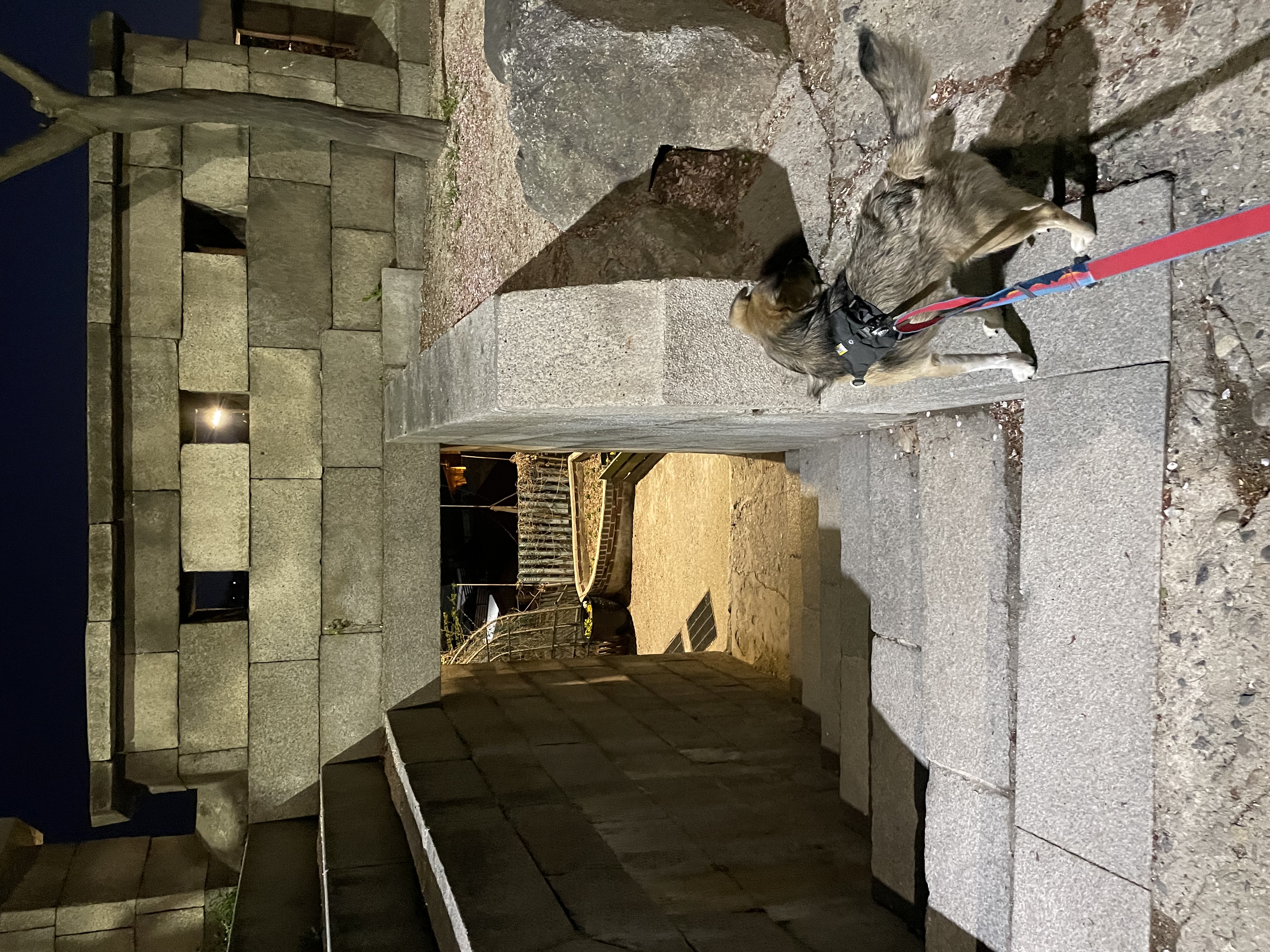 지구와 가족이 되었어요!