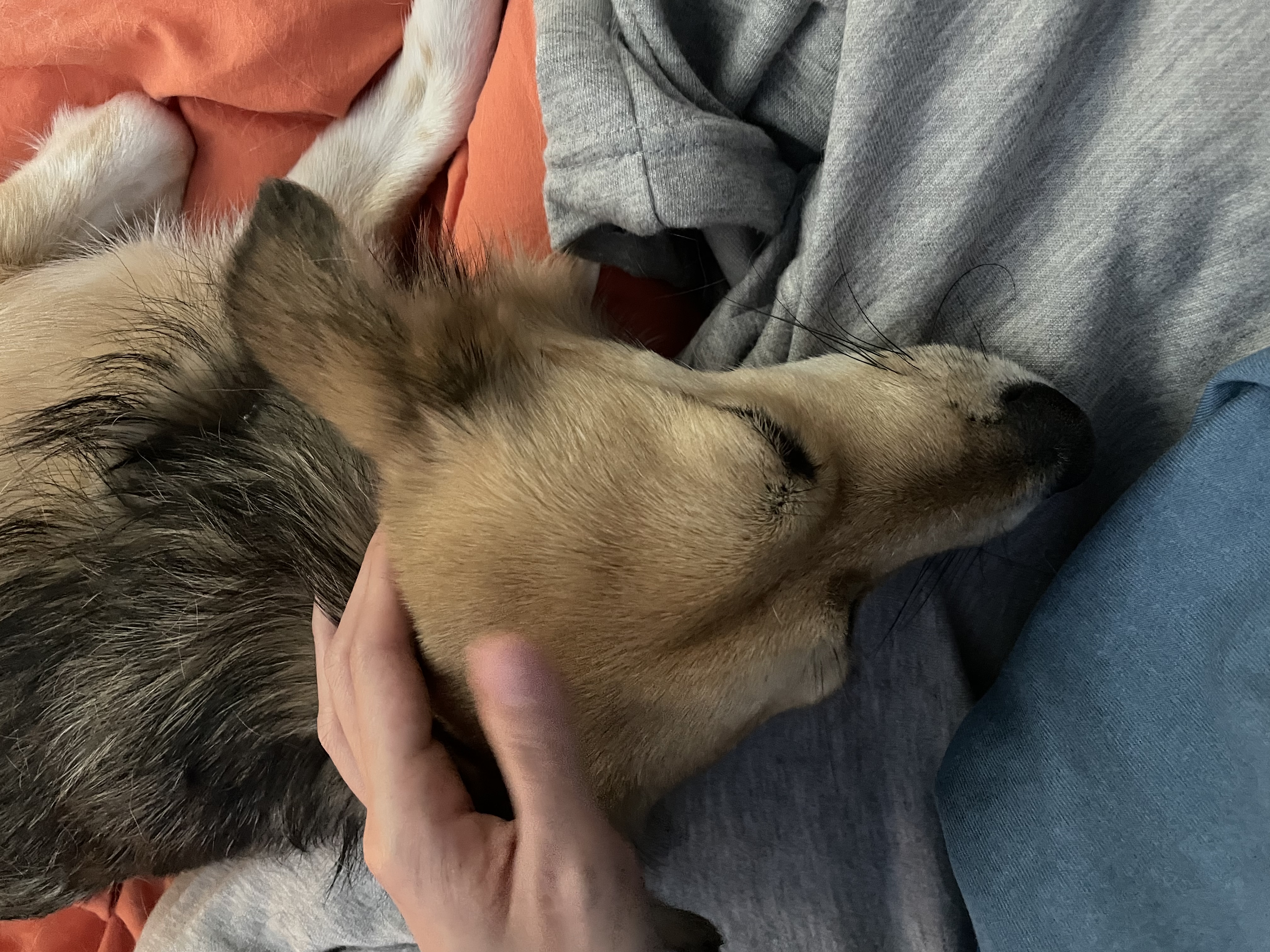 지구와 가족이 되었어요!