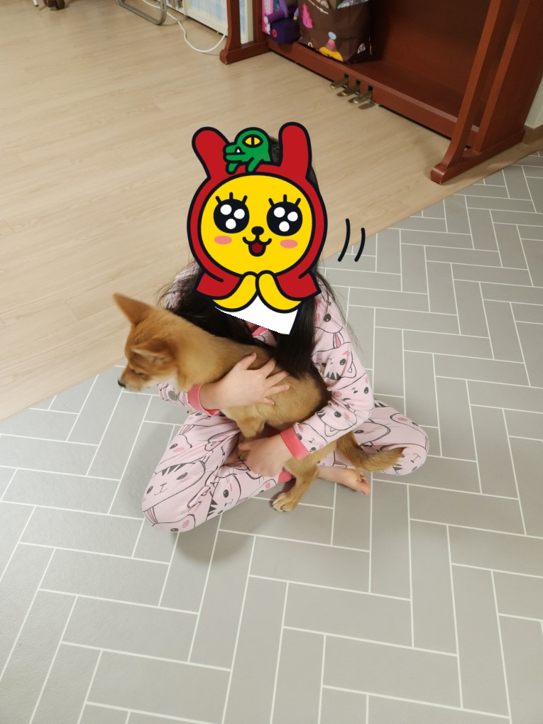 팜이 딸(수수) 사탕이 첫 번째 입양 후기입니다. 