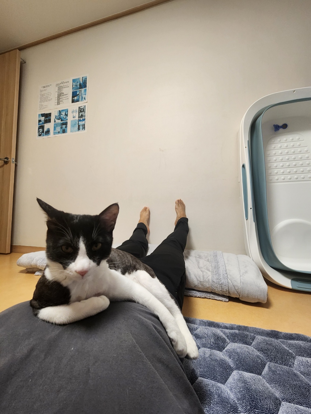 코코(민국이) 3개월후기