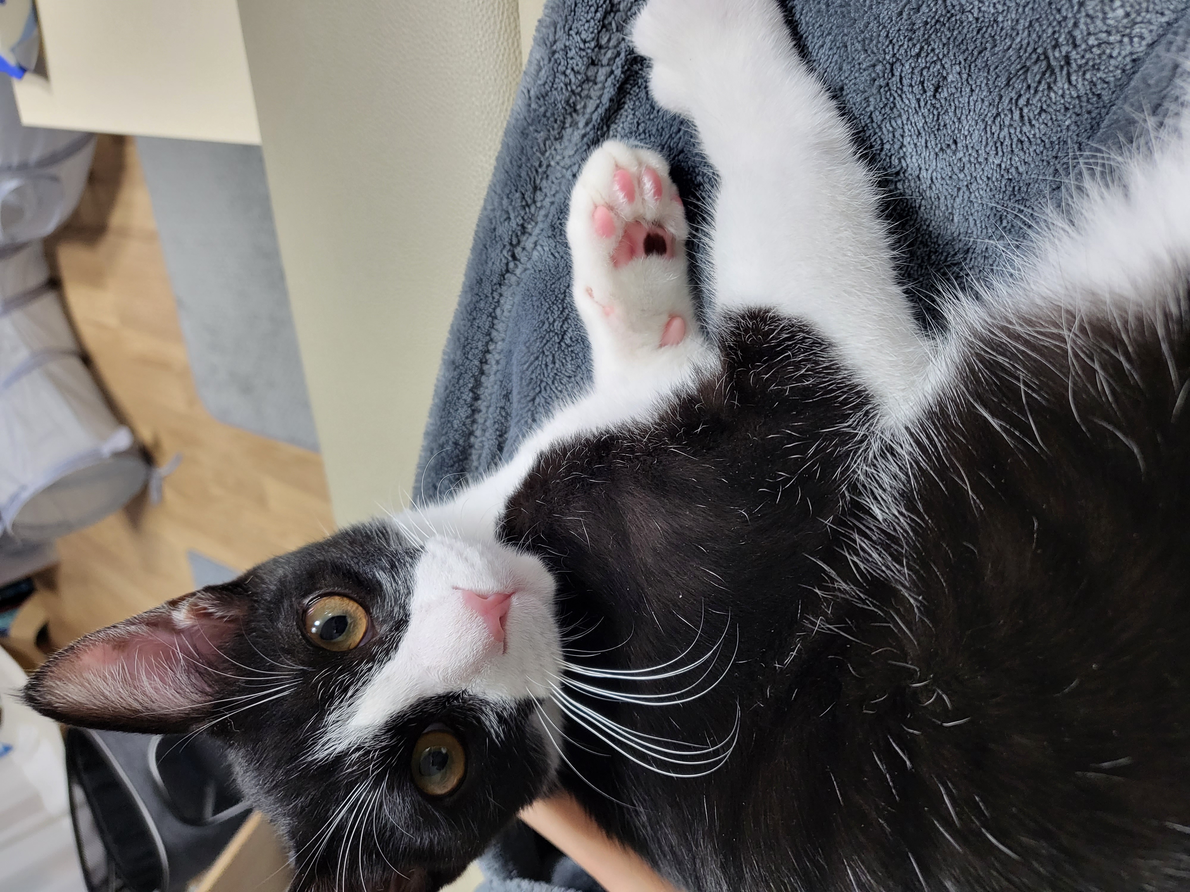 코코(민국이) 3개월후기