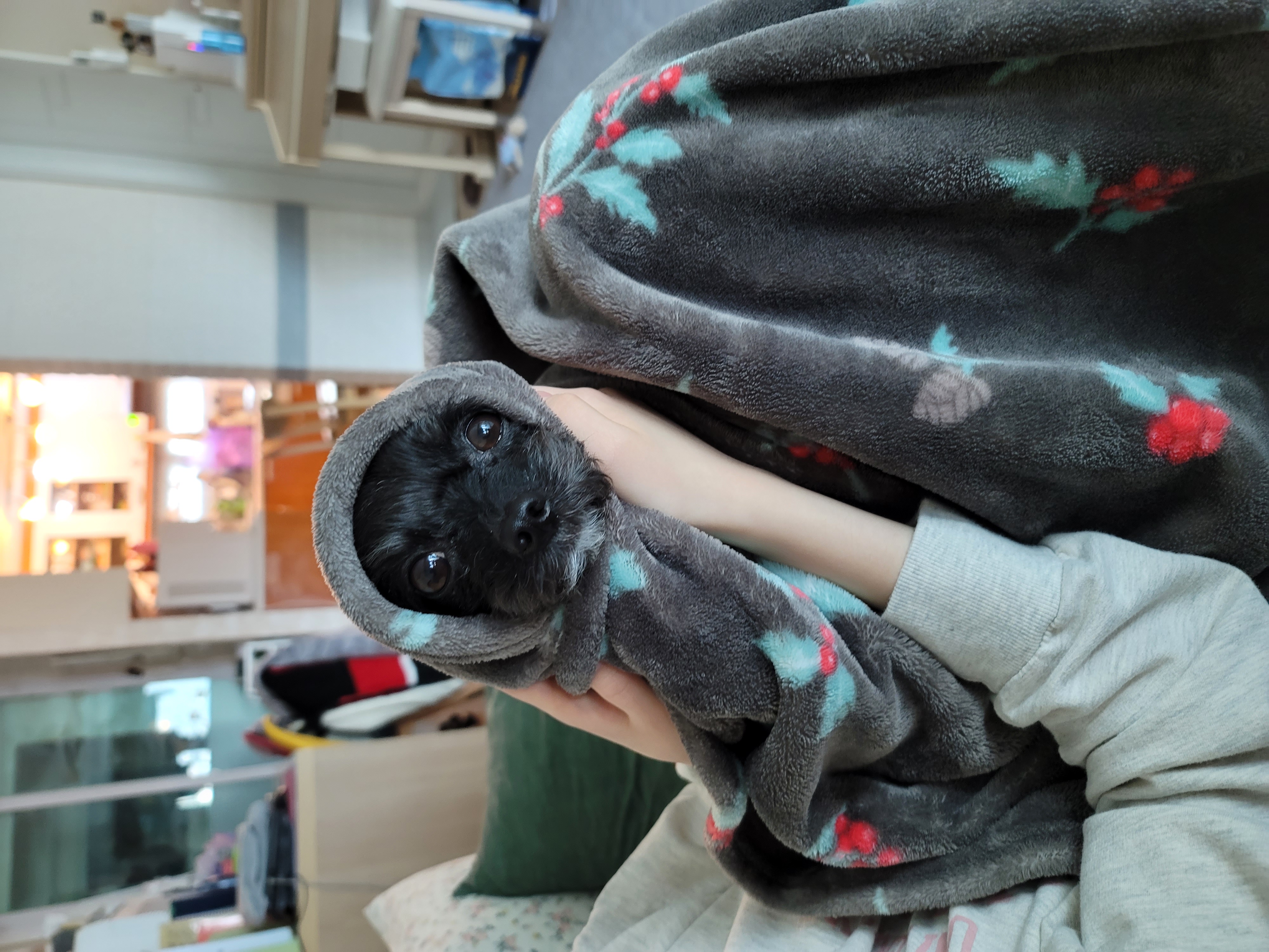 아라와 보낸지 3년이네요