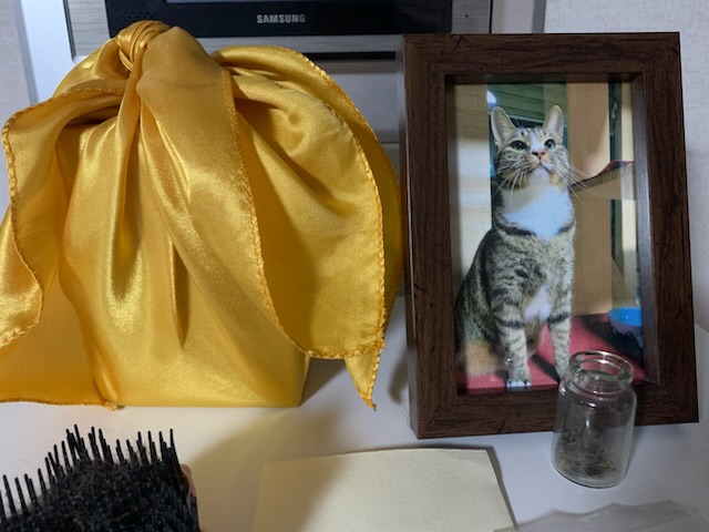 이곳에 쓰는게 맞는지 모르겠지만