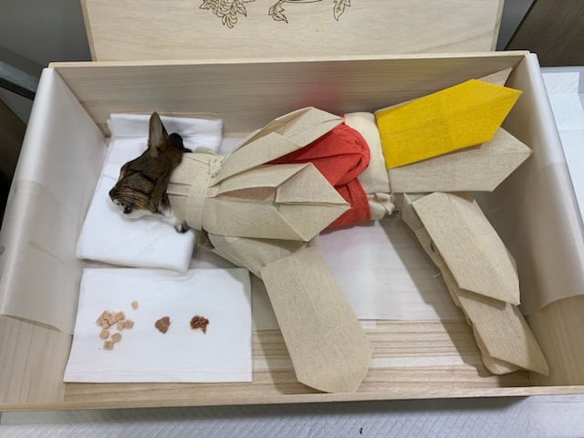 이곳에 쓰는게 맞는지 모르겠지만