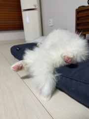 복이(짱무) 잘지내고 있어요~