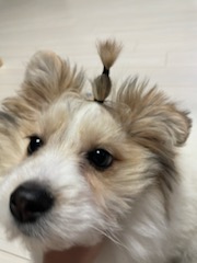 복이(짱무) 잘지내고 있어요~