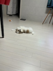 복이(짱무) 잘지내고 있어요~