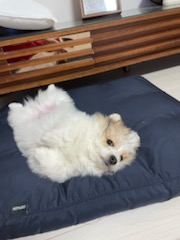 복이(짱무) 잘지내고 있어요~