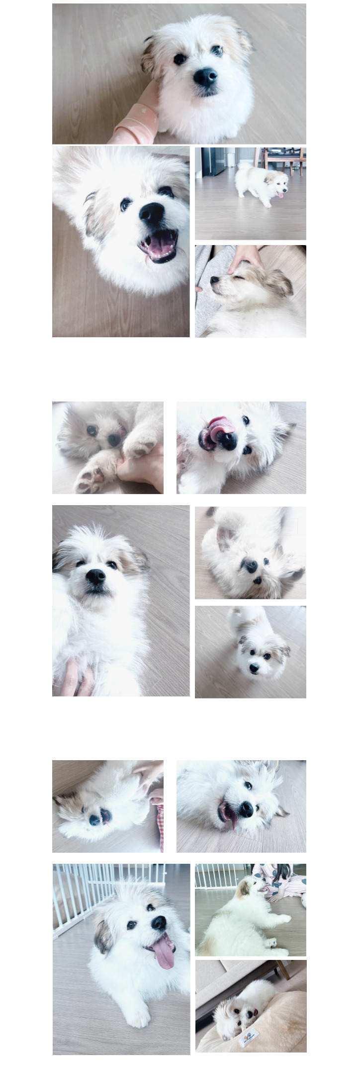 왕무의 일주일 입니다^^(순무야 고마워^^)