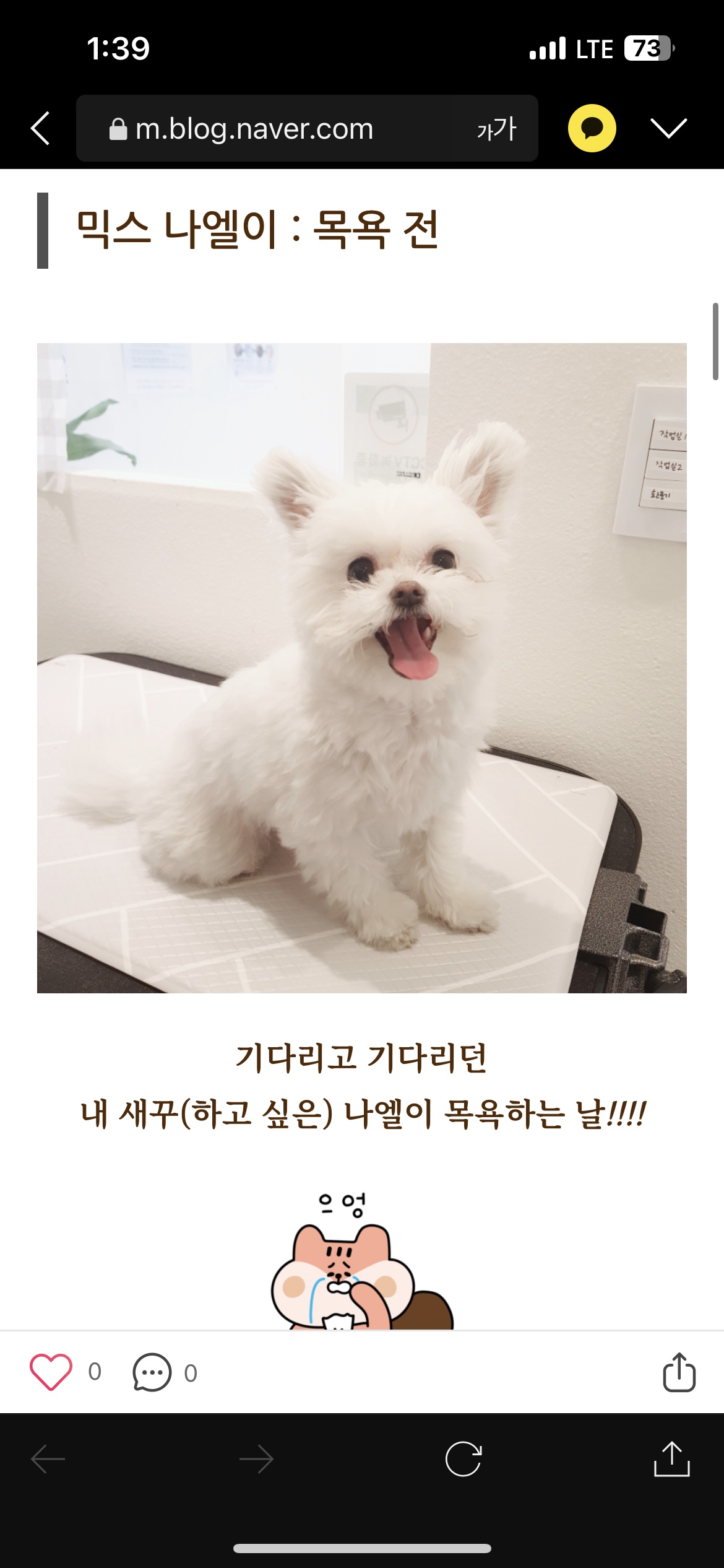 아산 나엘(구 가희)