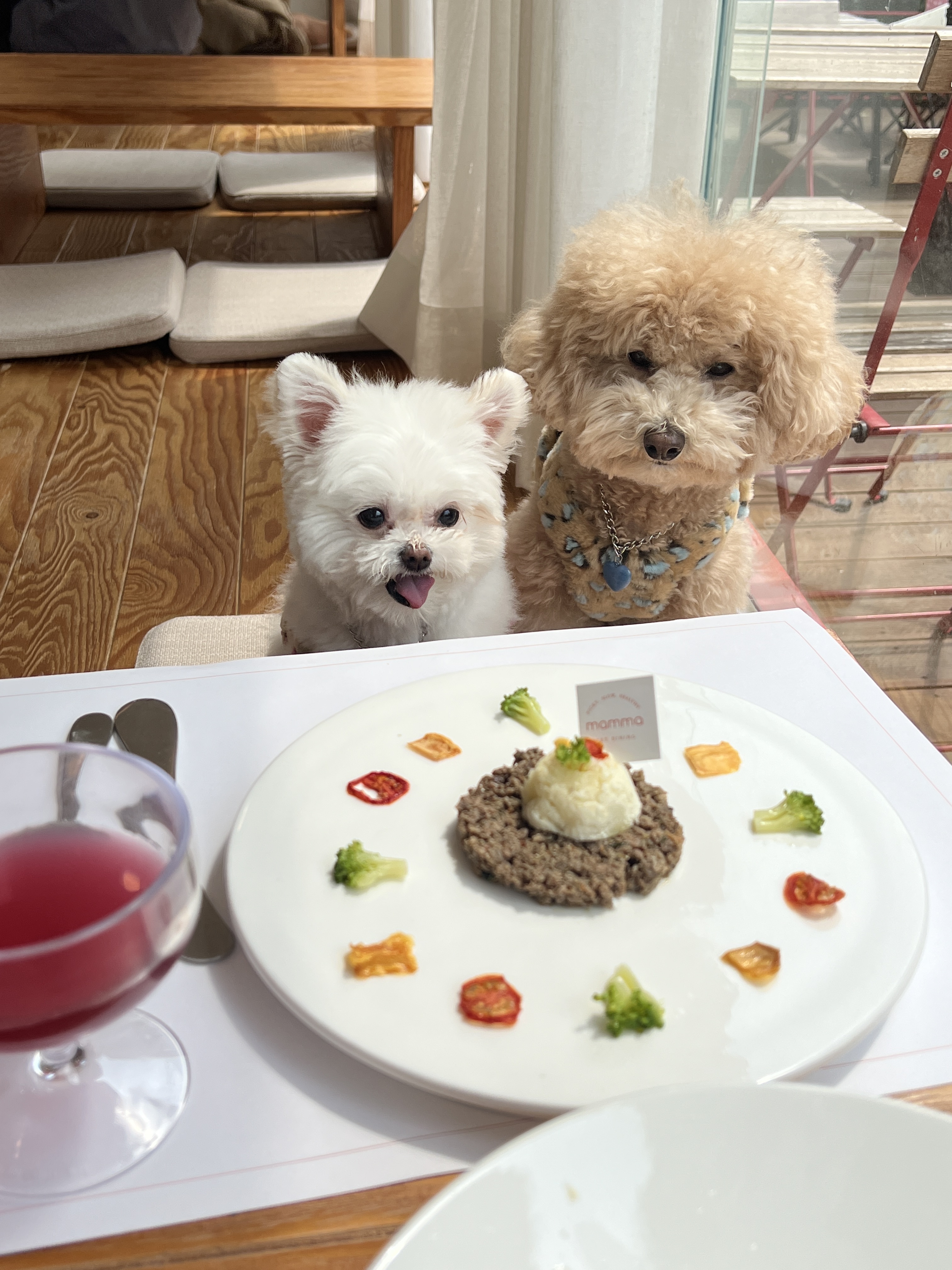 아산 나엘(구 가희)