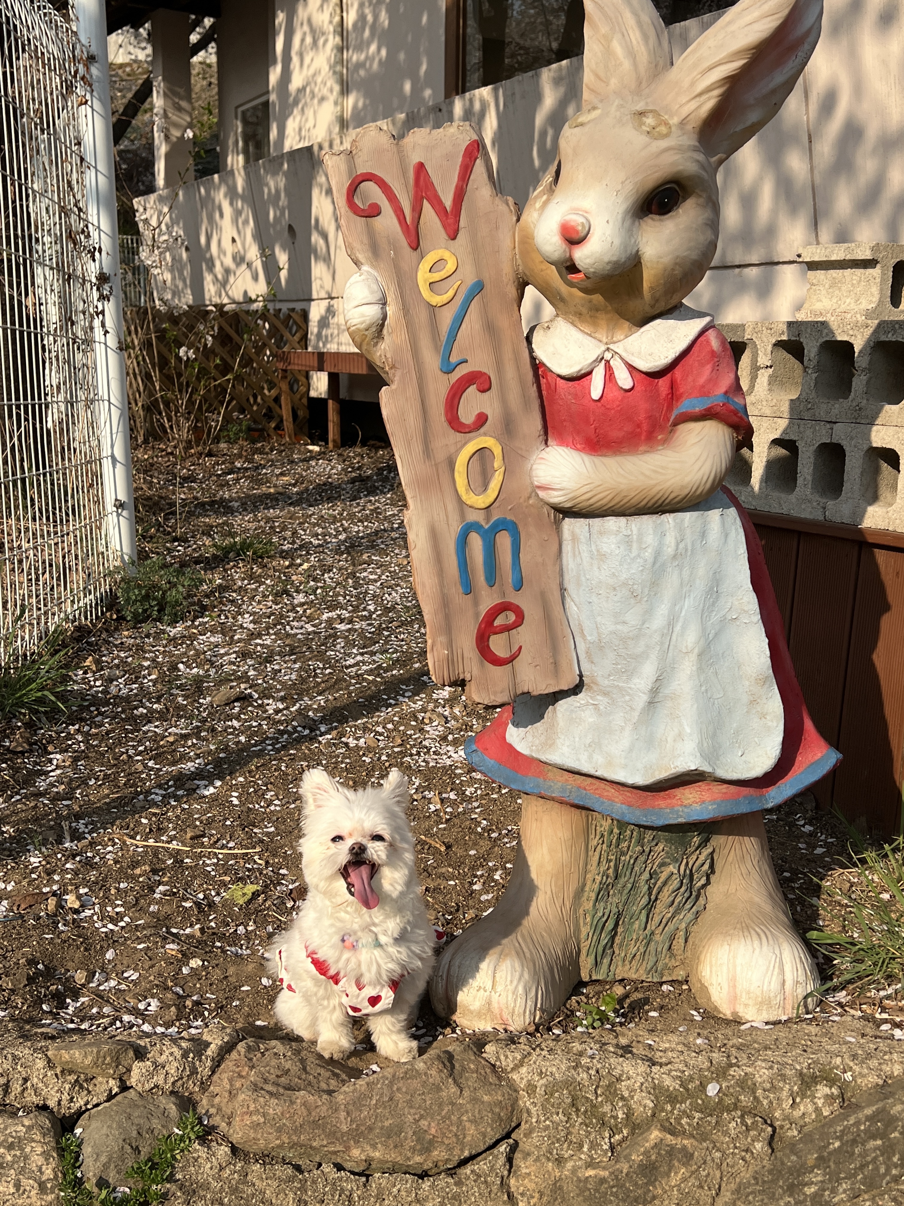 아산 나엘(구 가희)