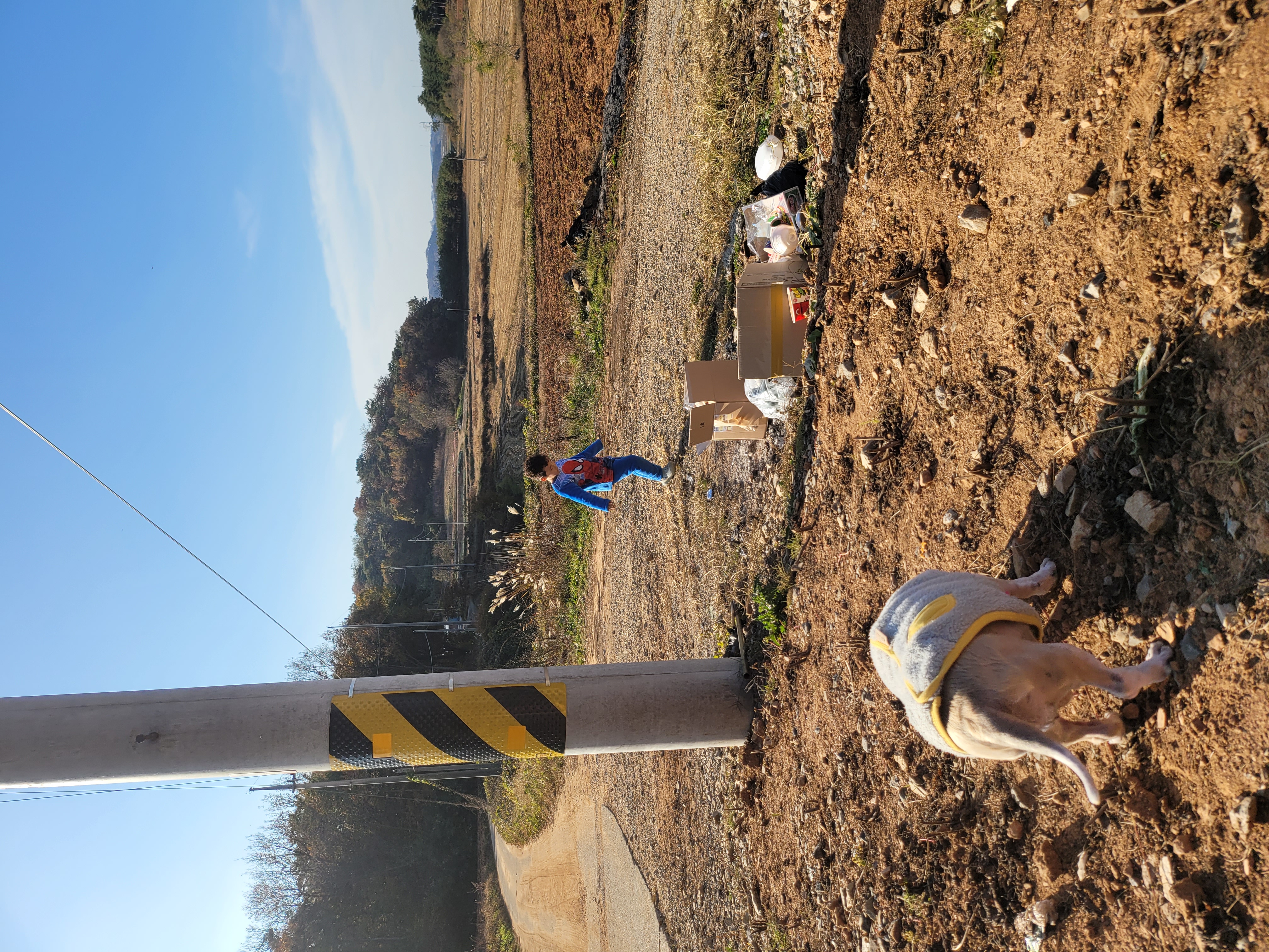 곤지암 구조견 원이