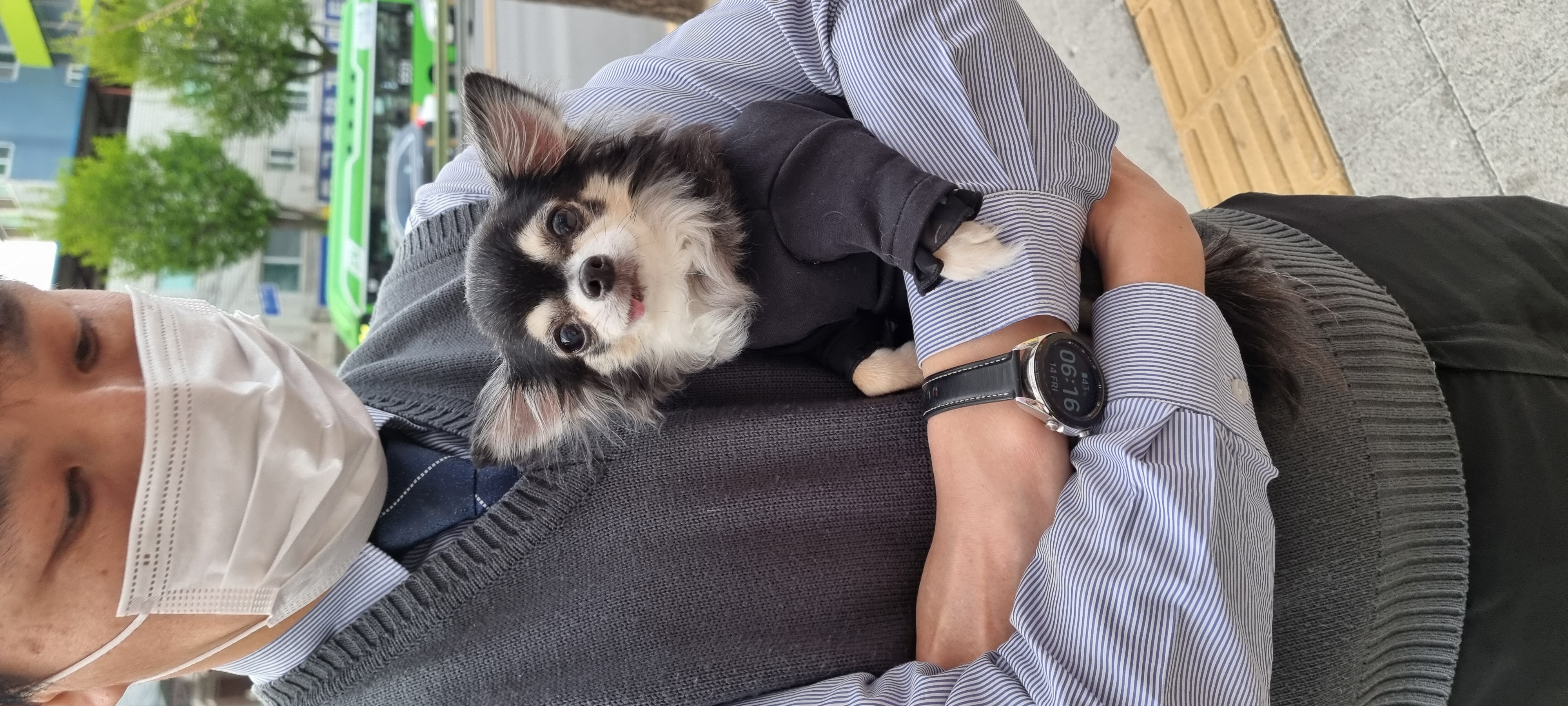 곤지암 구조견 왕별이 2년 됐어요^^