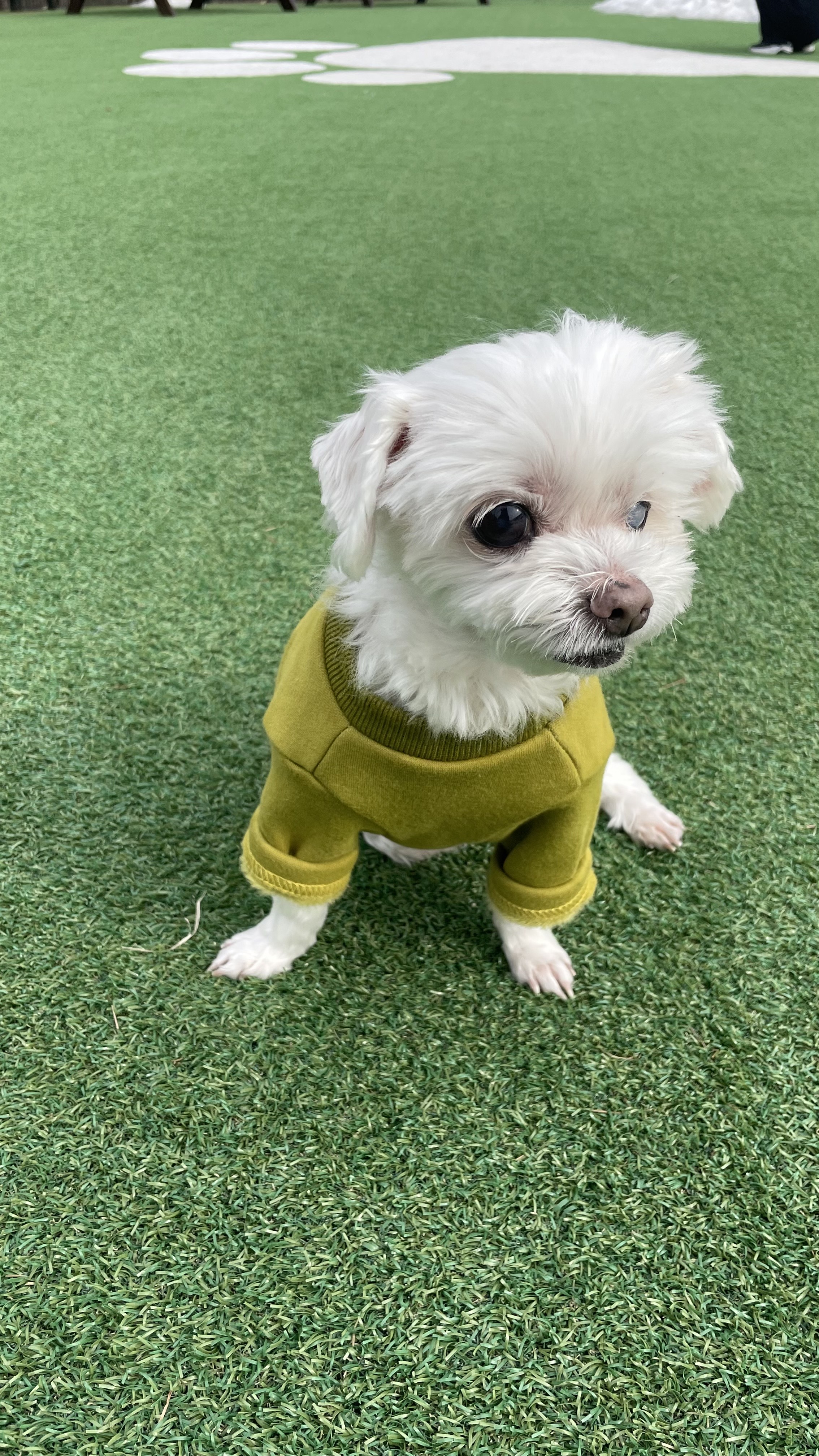 빈이 3년차후기입니다.