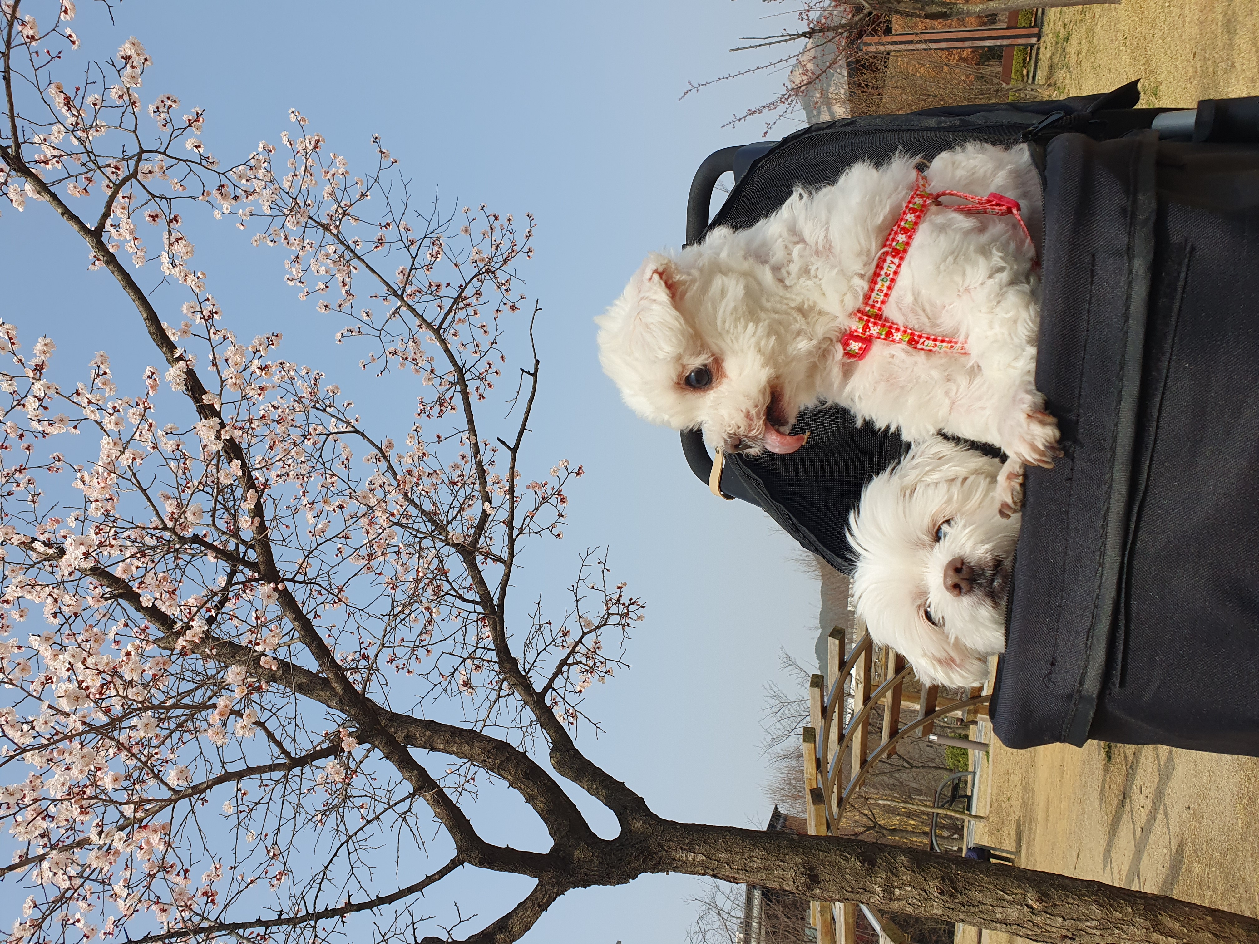 빈이 3년차후기입니다.