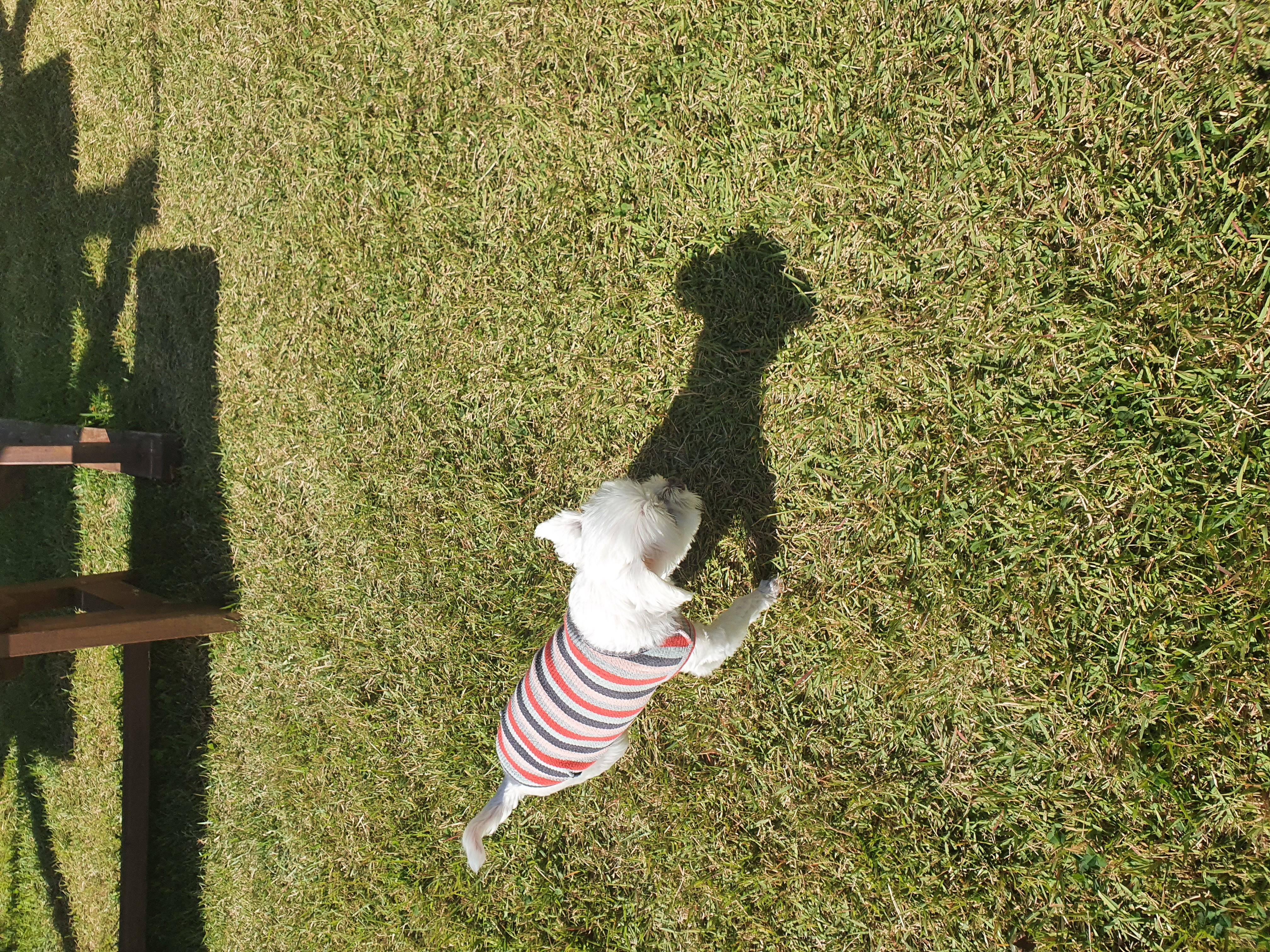 빈이 3년차후기입니다.