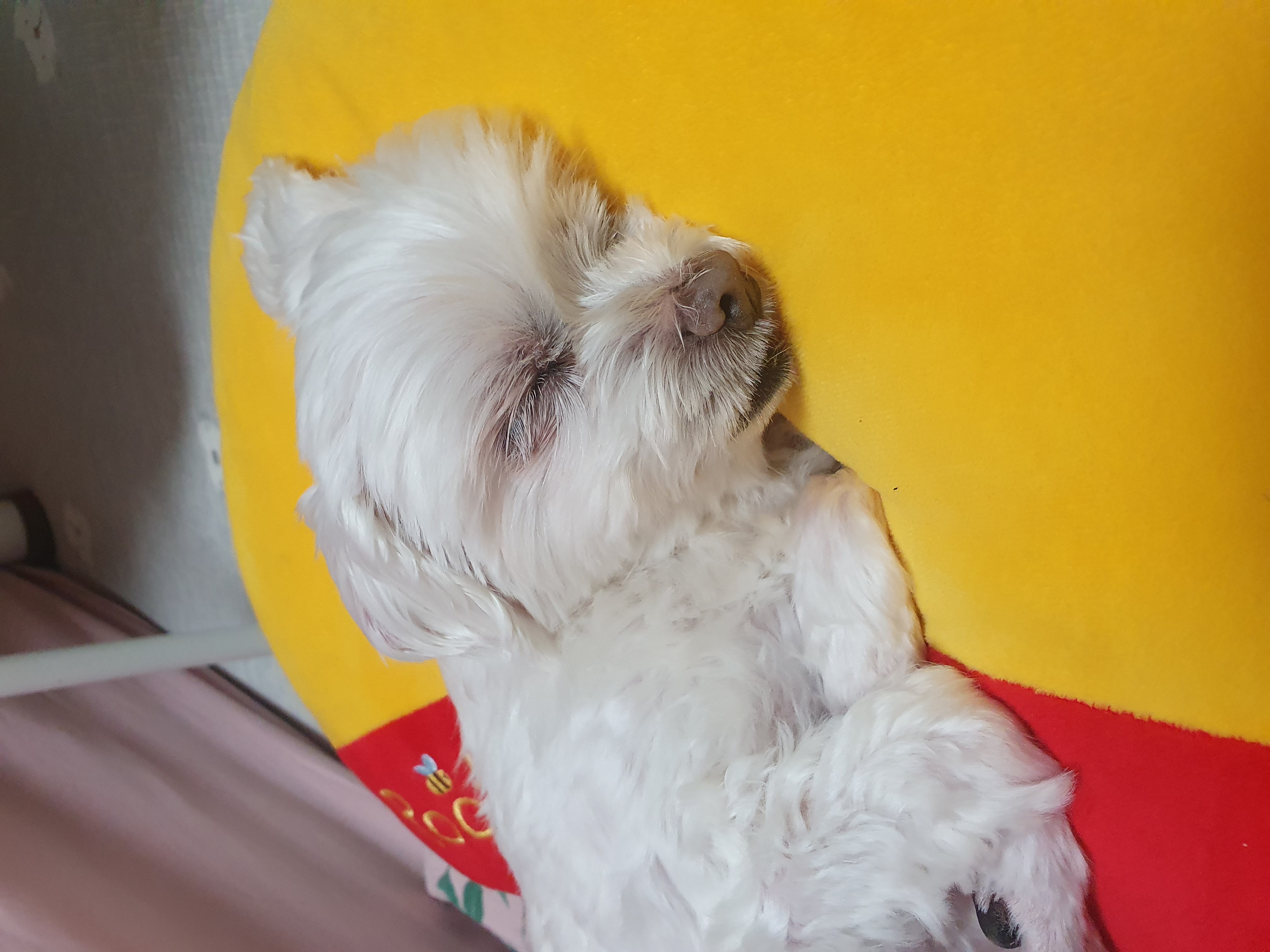 빈이 3년차후기입니다.