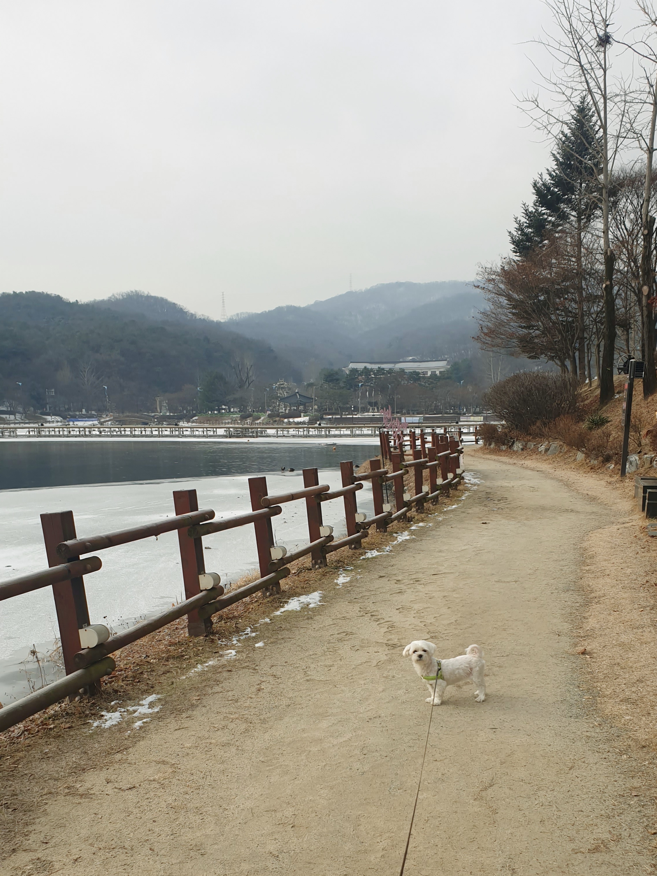 곤지암 청순이 2주년 근황
