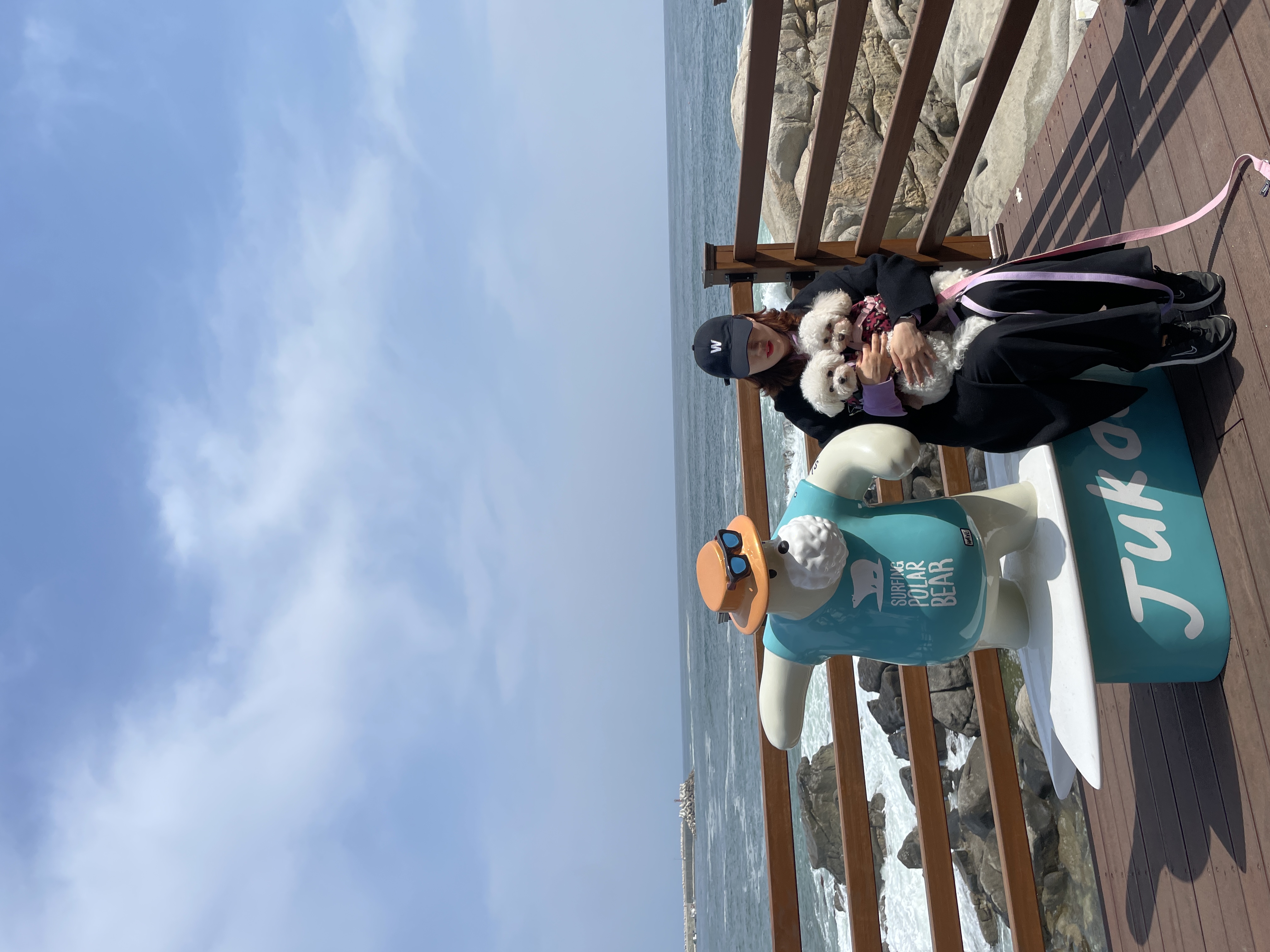 두리랑 3년째 행복한 일상입니다.