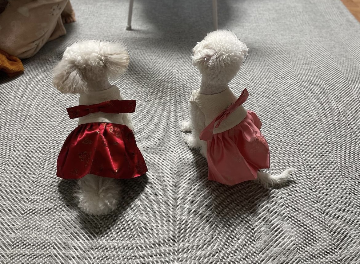 두리랑 3년째 행복한 일상입니다.