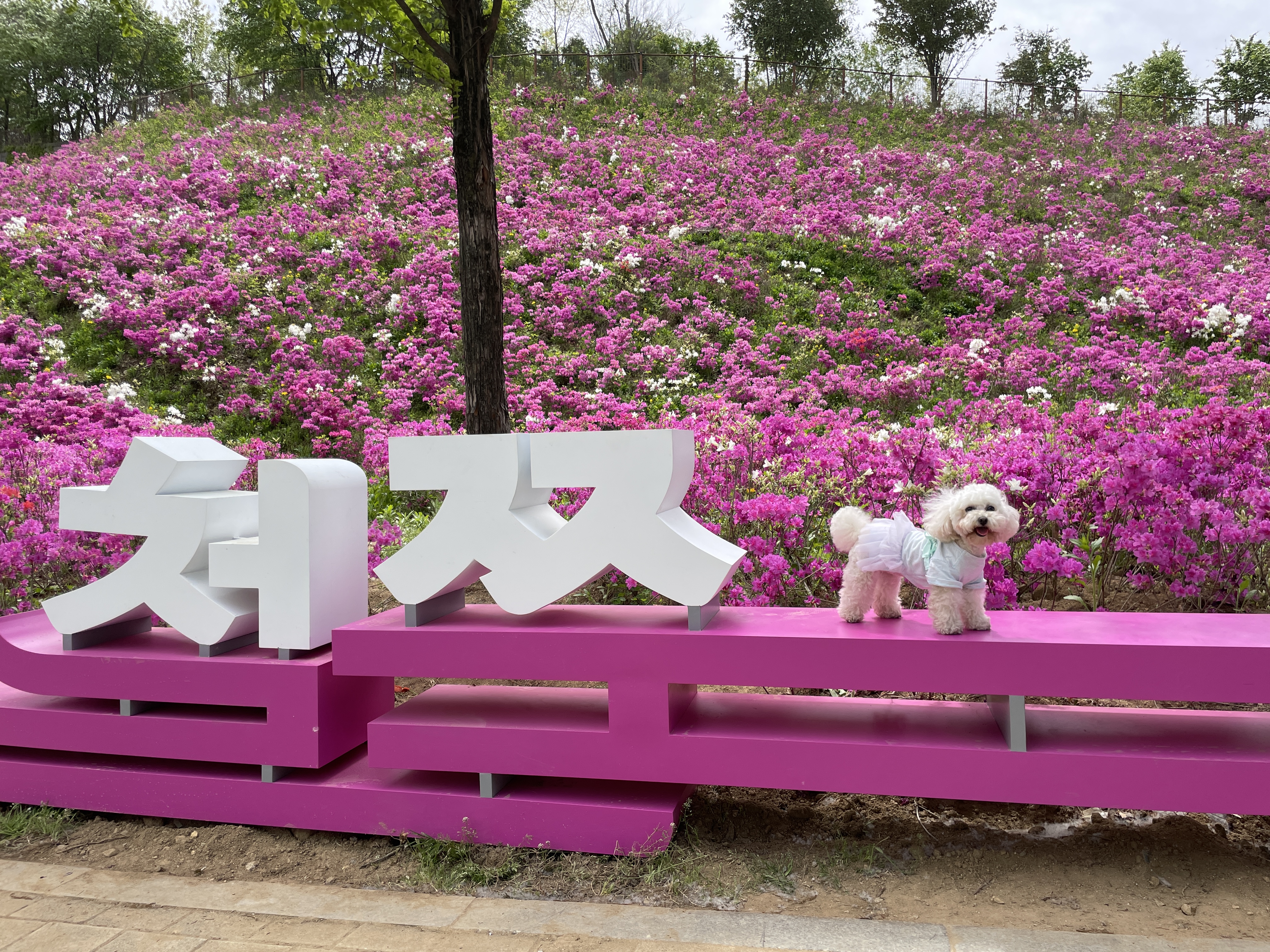 두리랑 3년째 행복한 일상입니다.