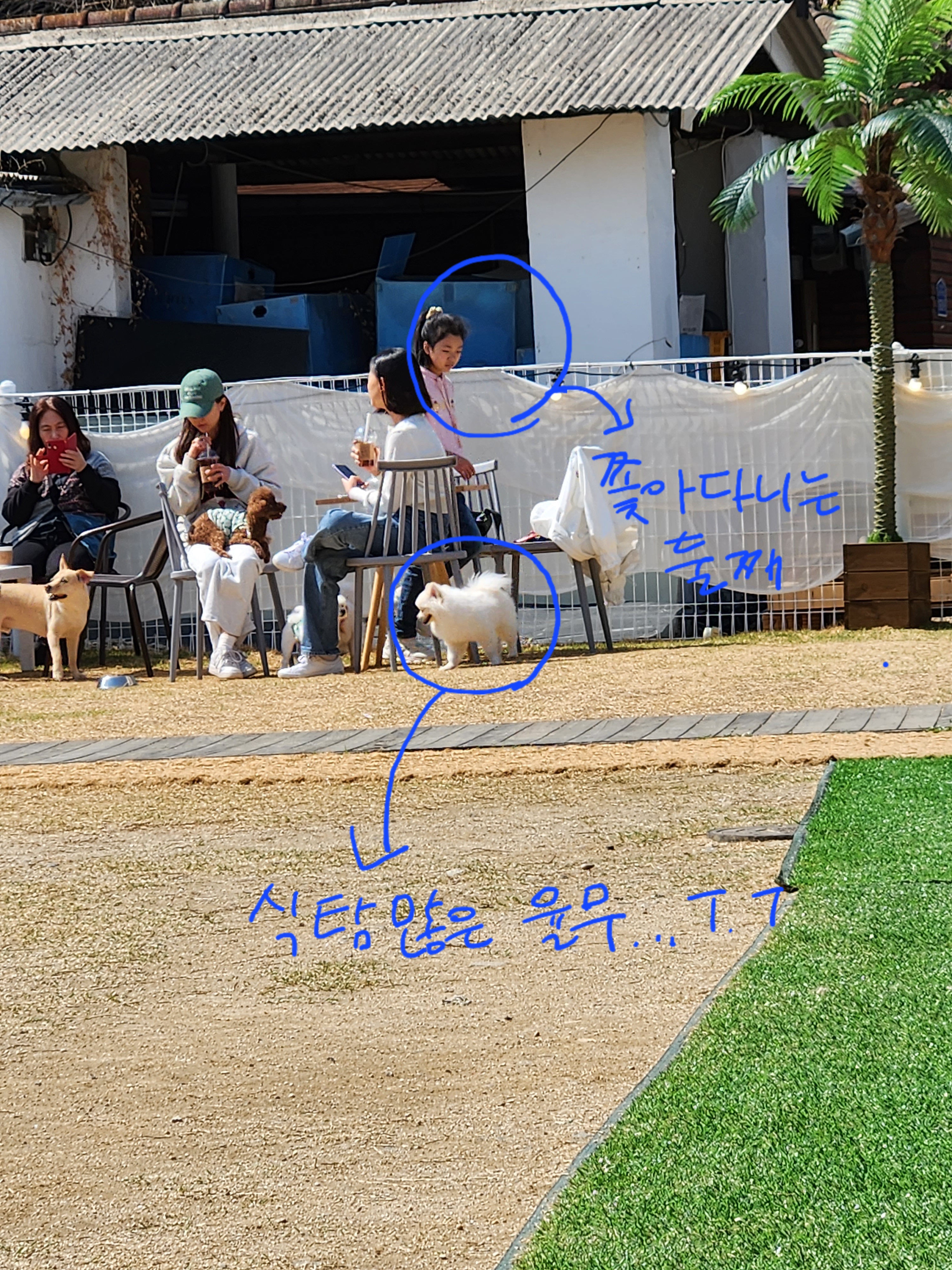 율무(시루) 입양3개월차~~