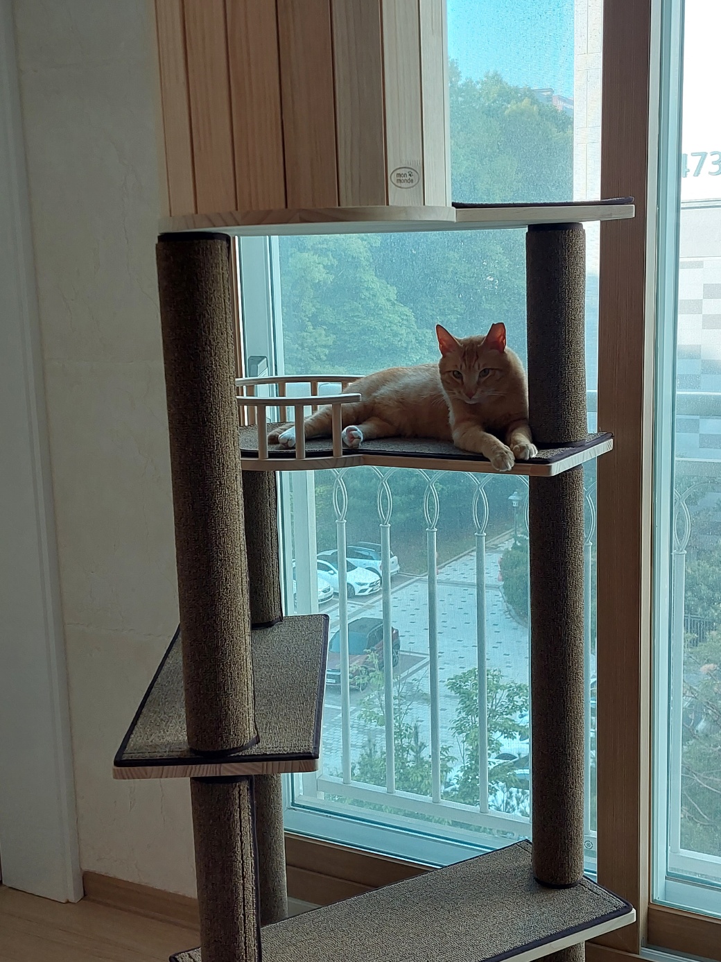 우리집 막내로 온 가을