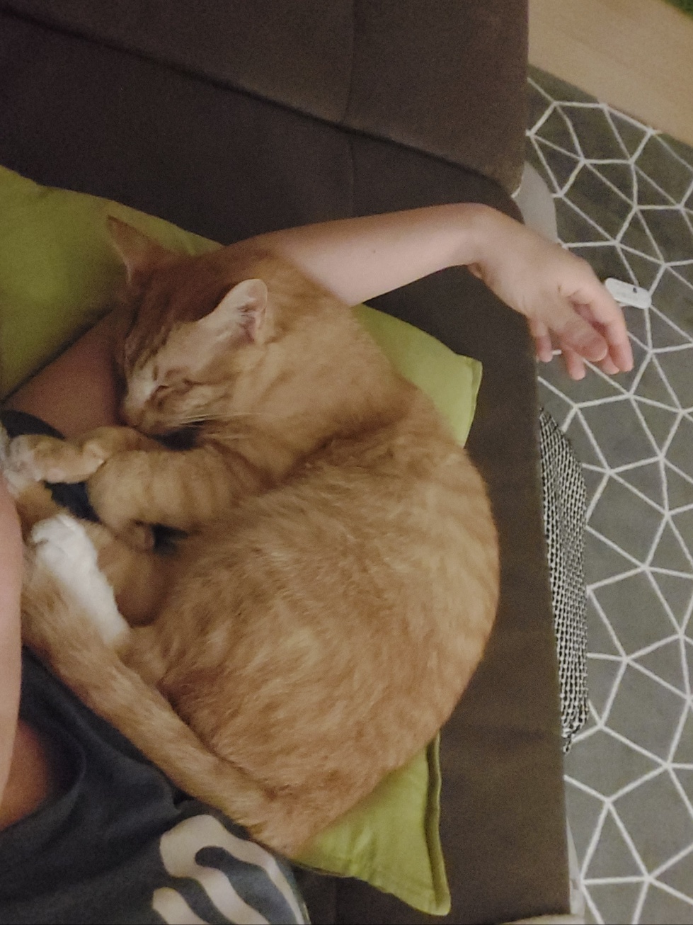 우리집 막내로 온 가을