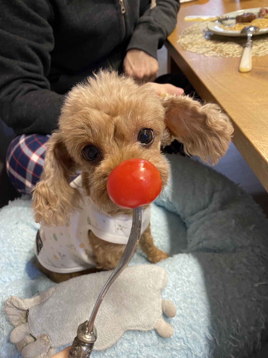 쪼리 온지 5년차 입니다!