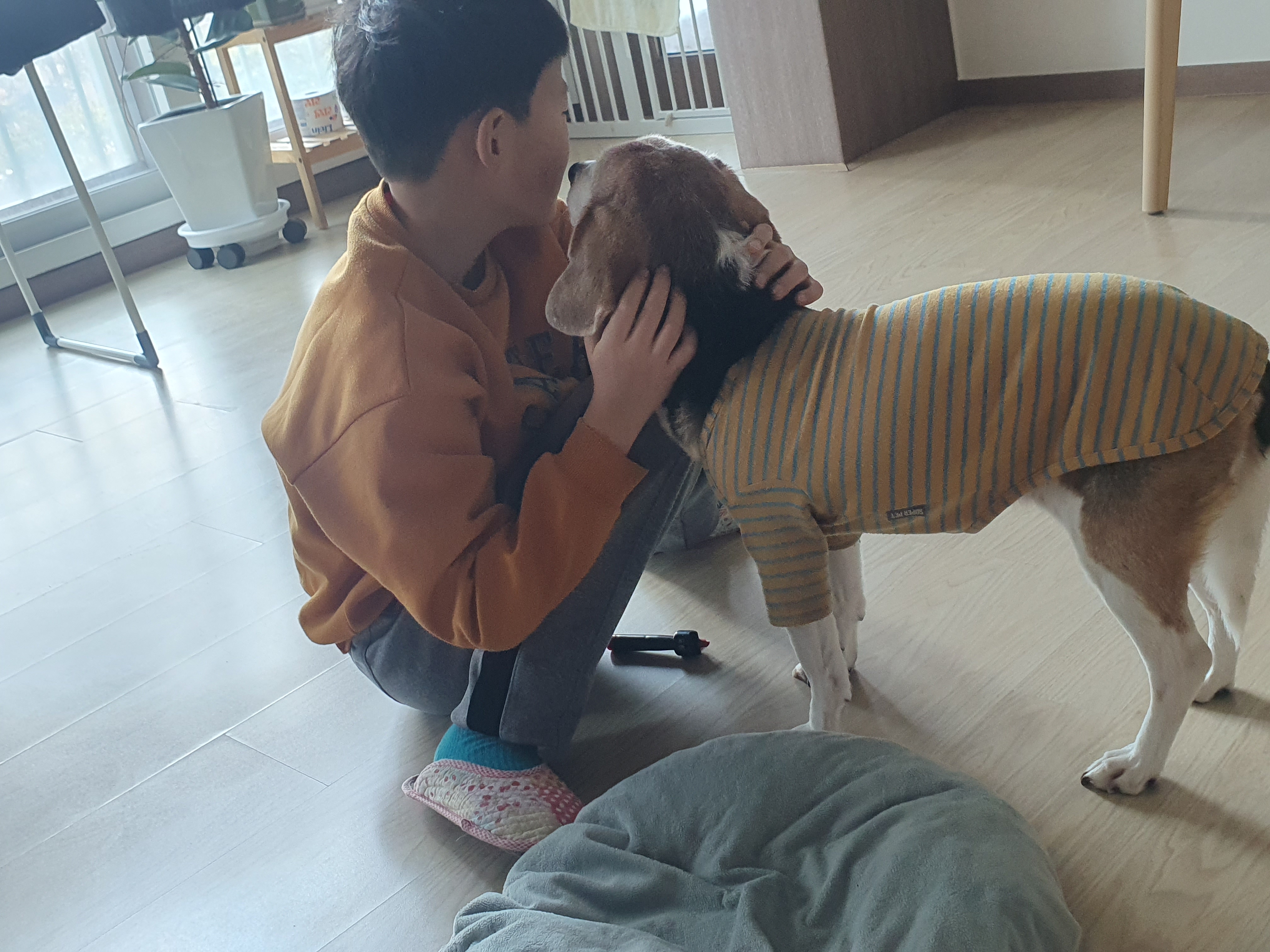 미키(루키아)의 8주년