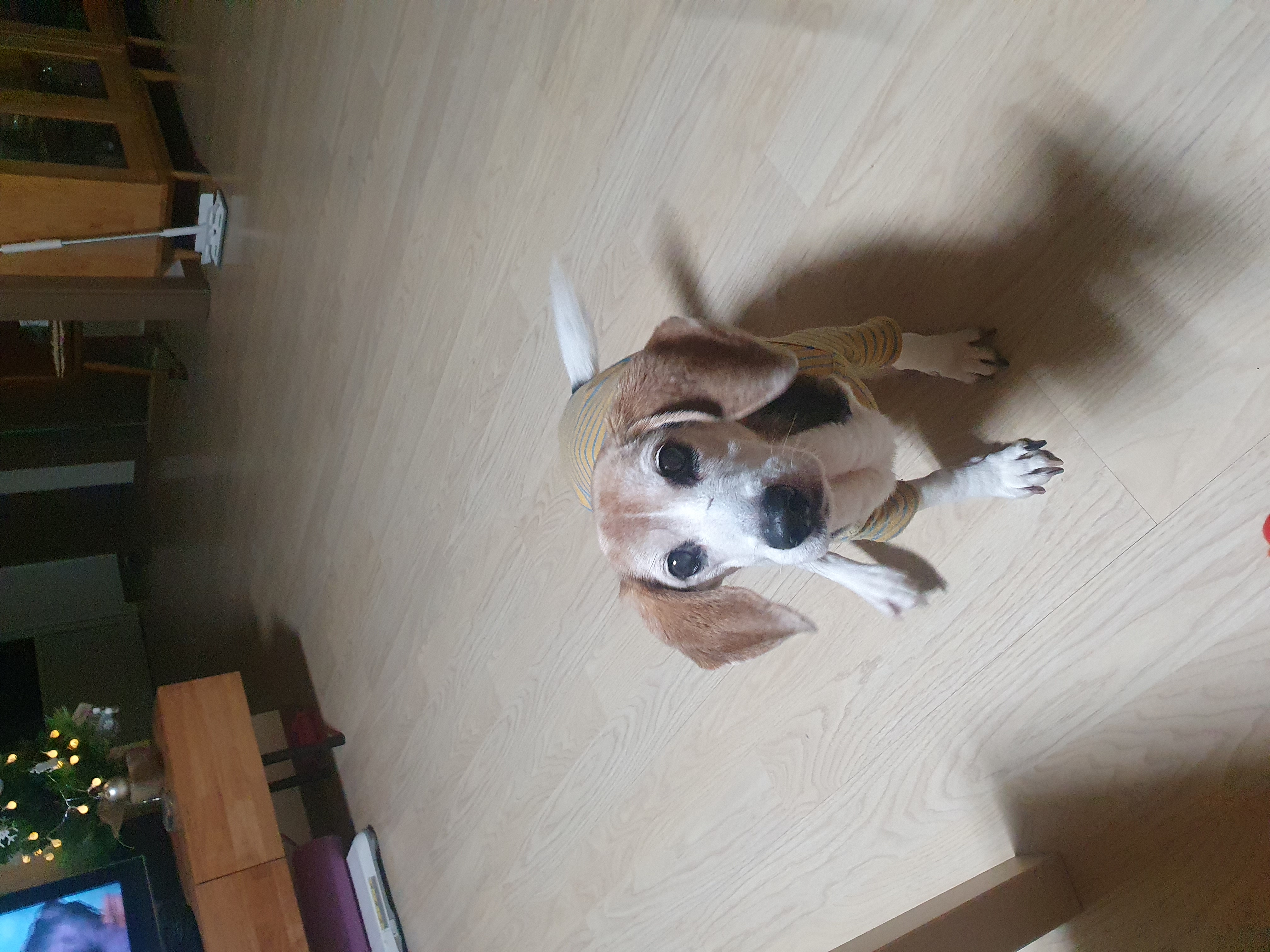 미키(루키아)의 8주년