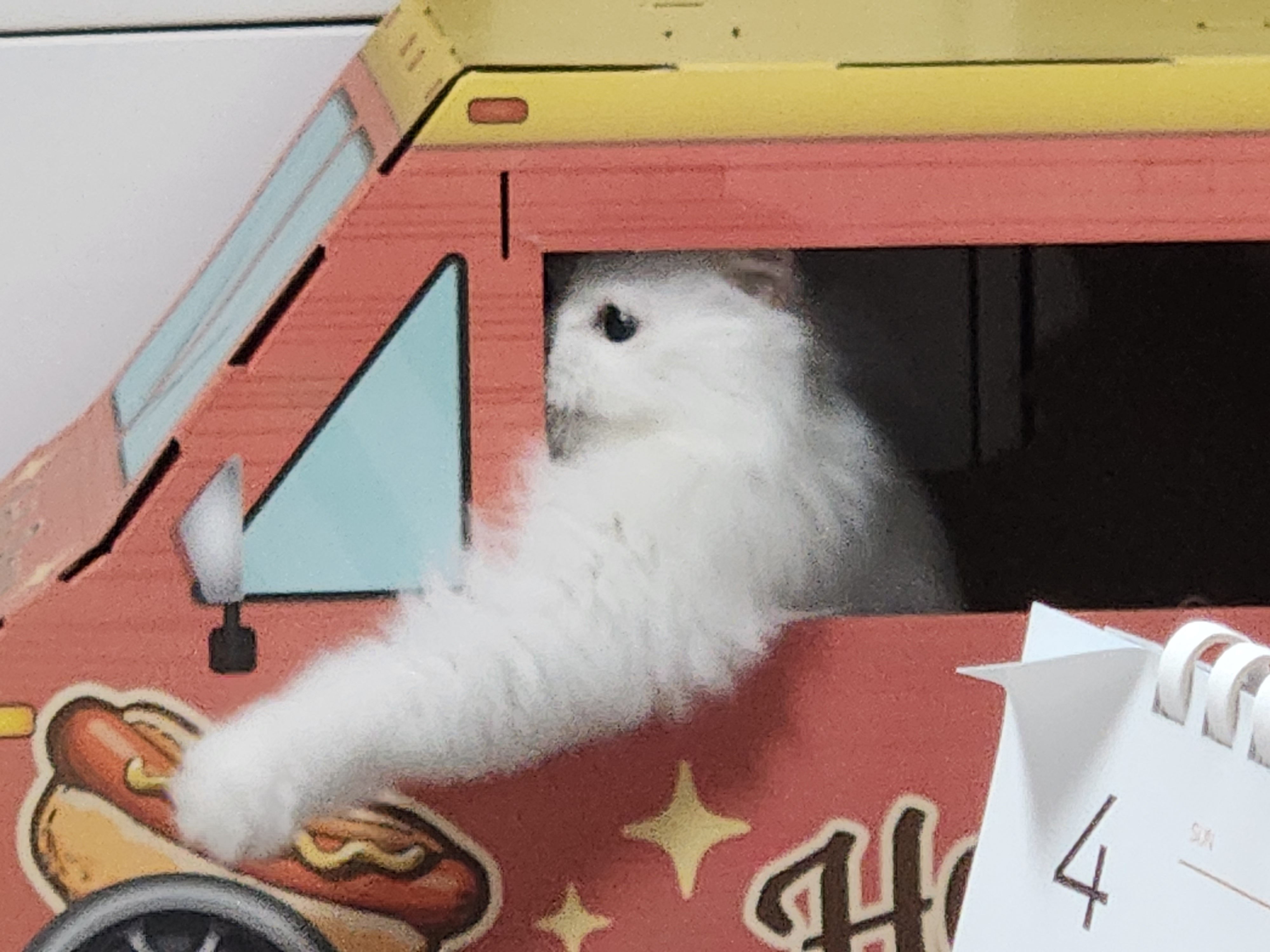 모델이와 포도 입니다