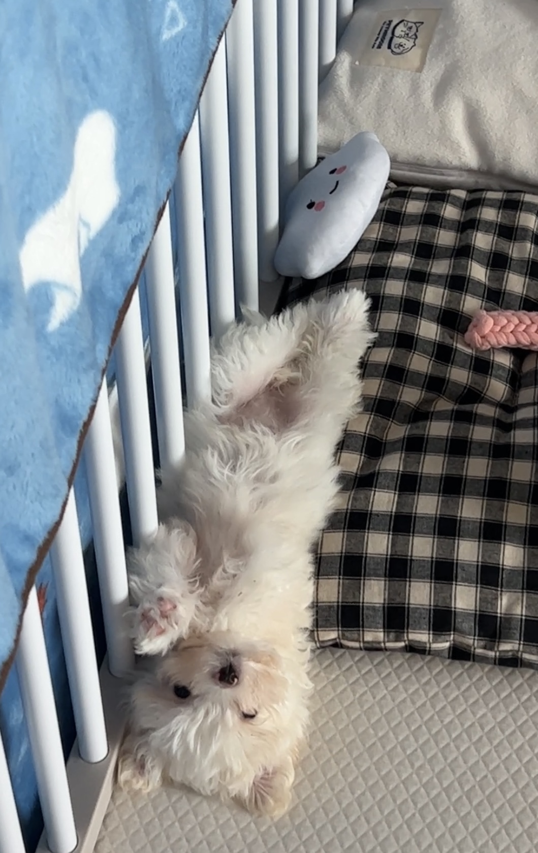 밥풀이 (다웅이) 한달 후기입니다~