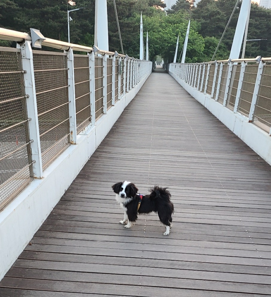 레오(포네) 인사드립니다. (after 3 months)