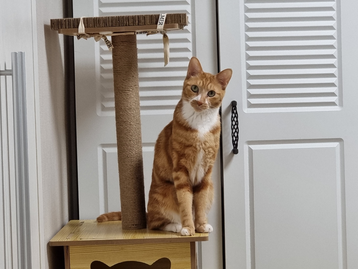 임보 두달차 필구 소식입니다^^