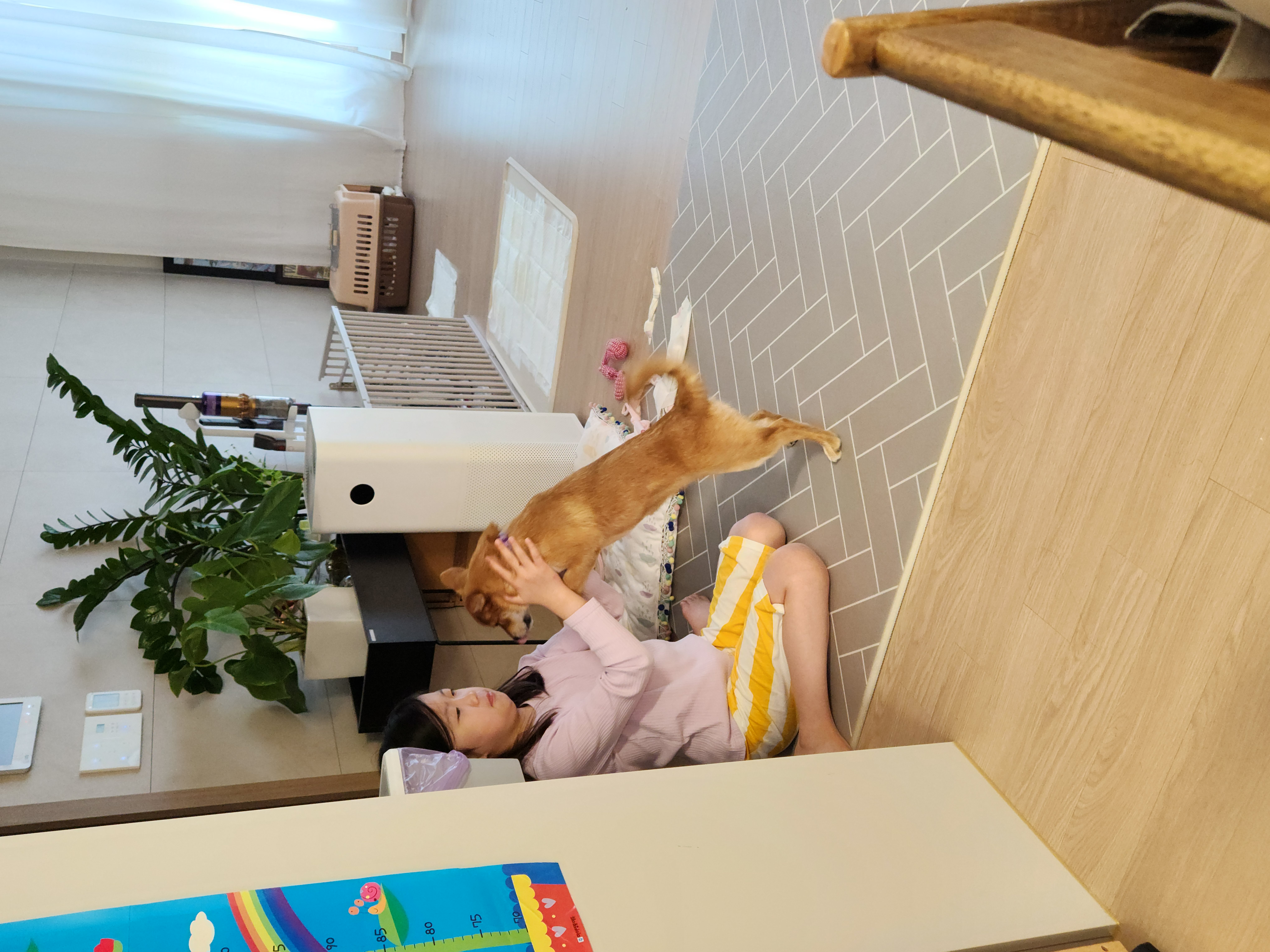 수수(후 사탕이) 한달 후기