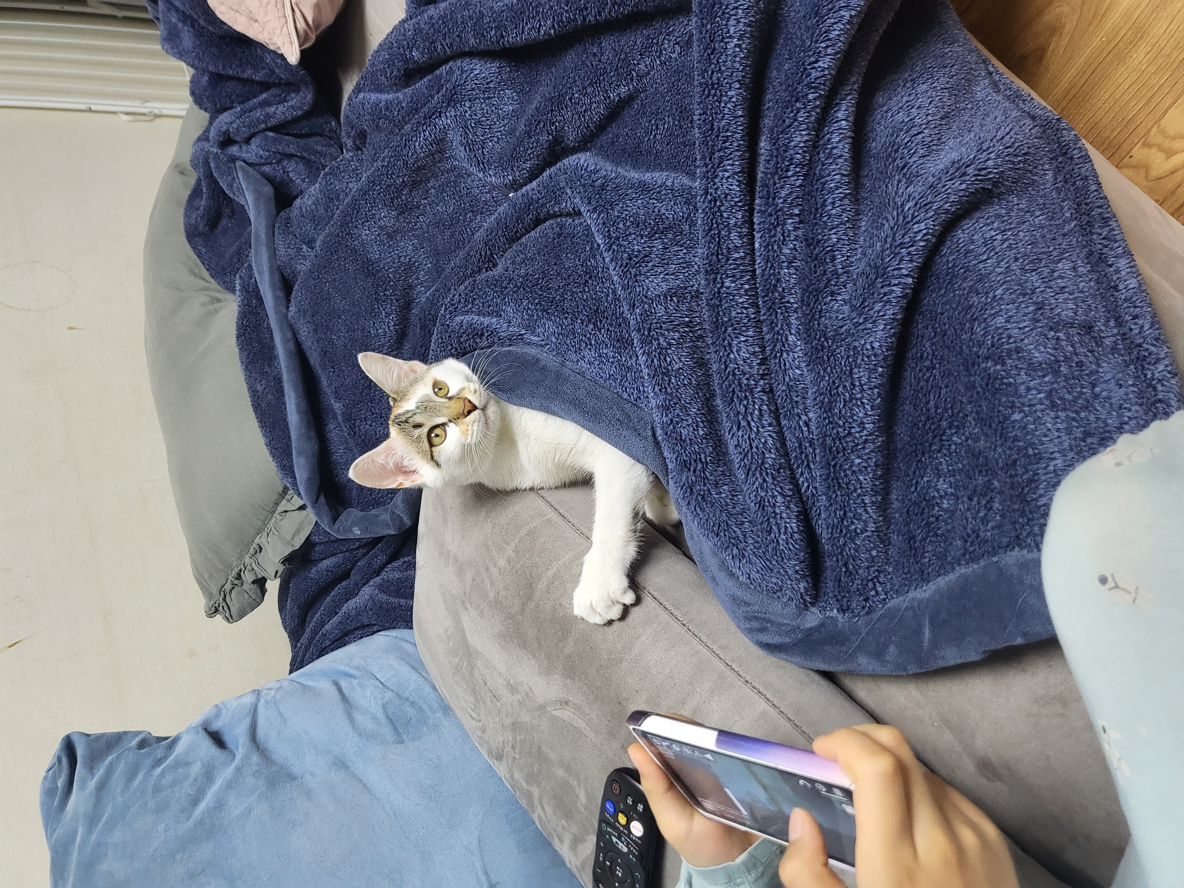 설탕이(훈사)~ 두달 되었네요^^