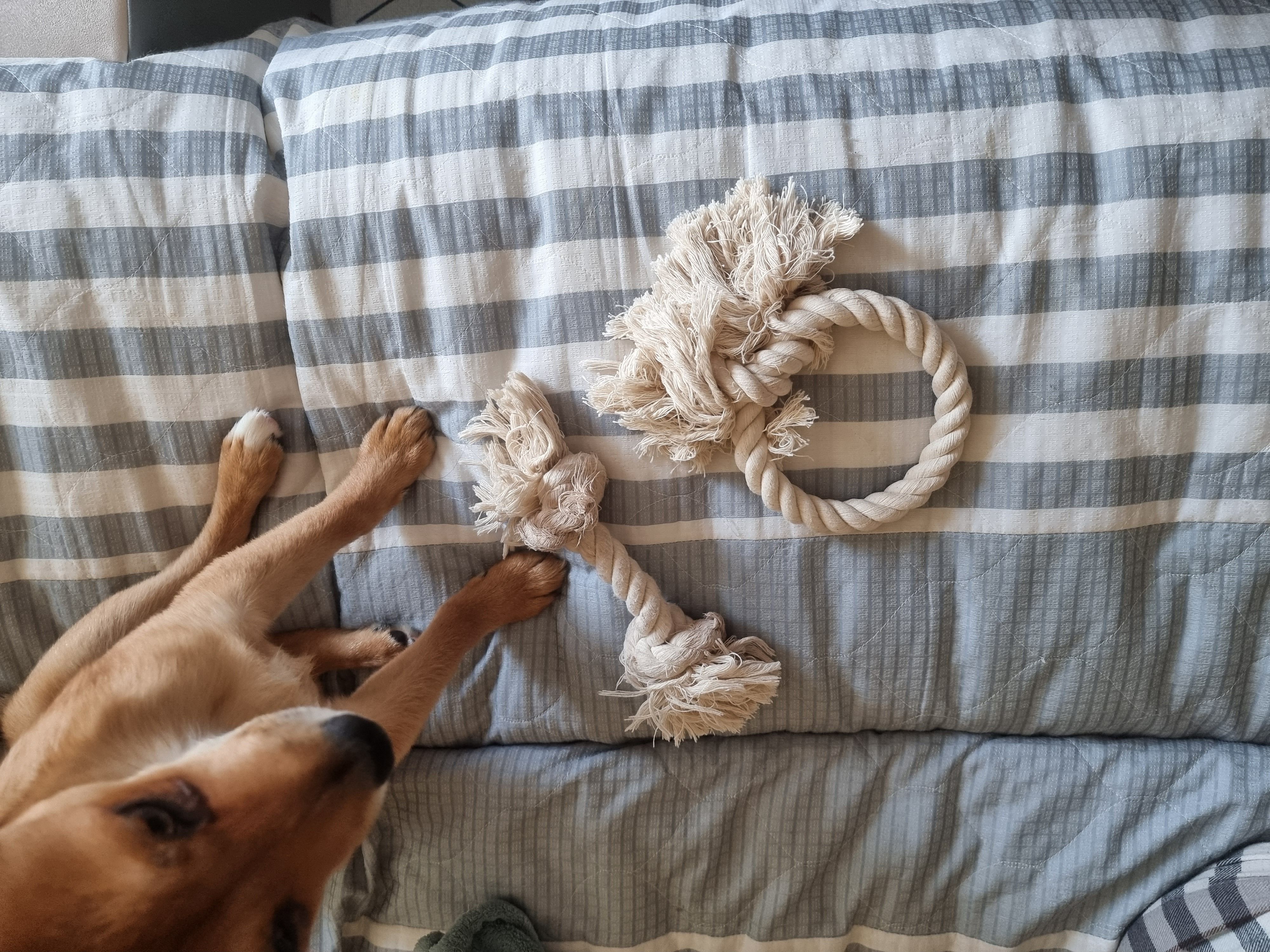 귀리(누리) 한달 후기입니다.