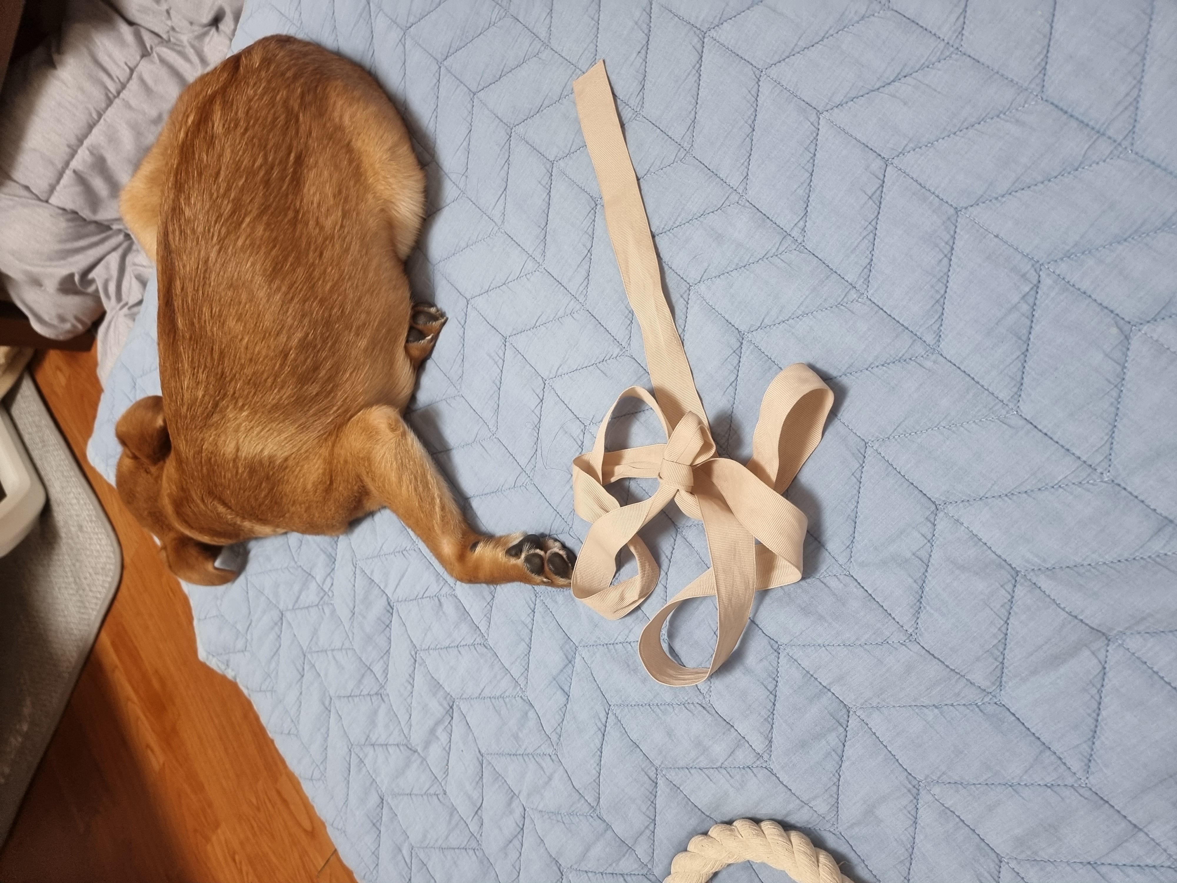 귀리(누리) 한달 후기입니다.