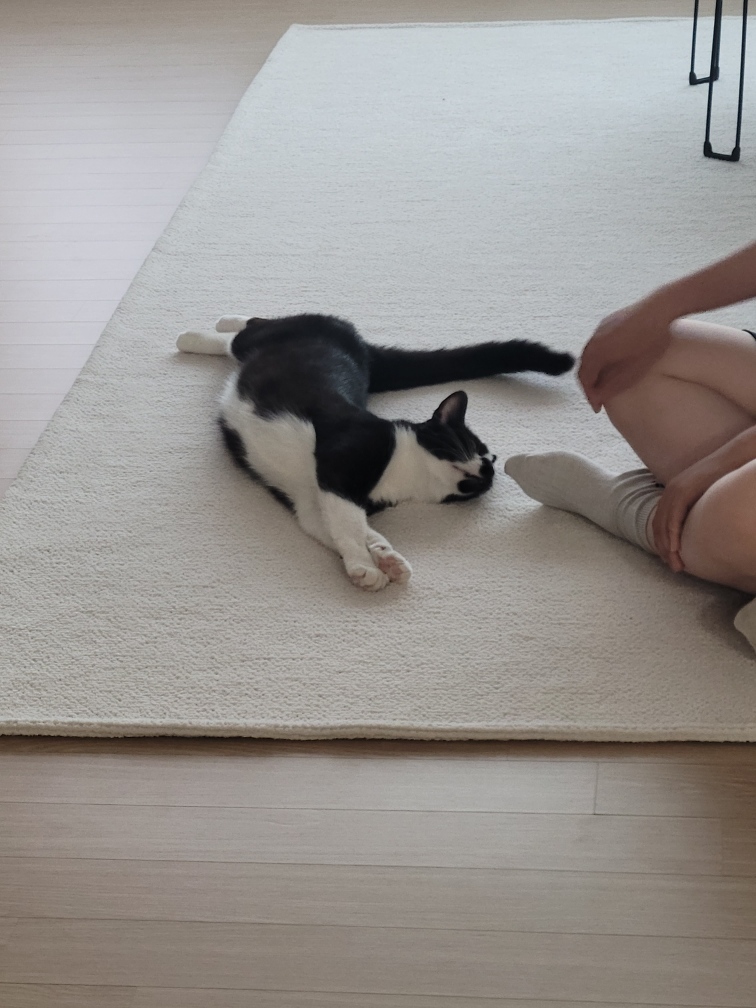 까미 잘지내고 있습니다