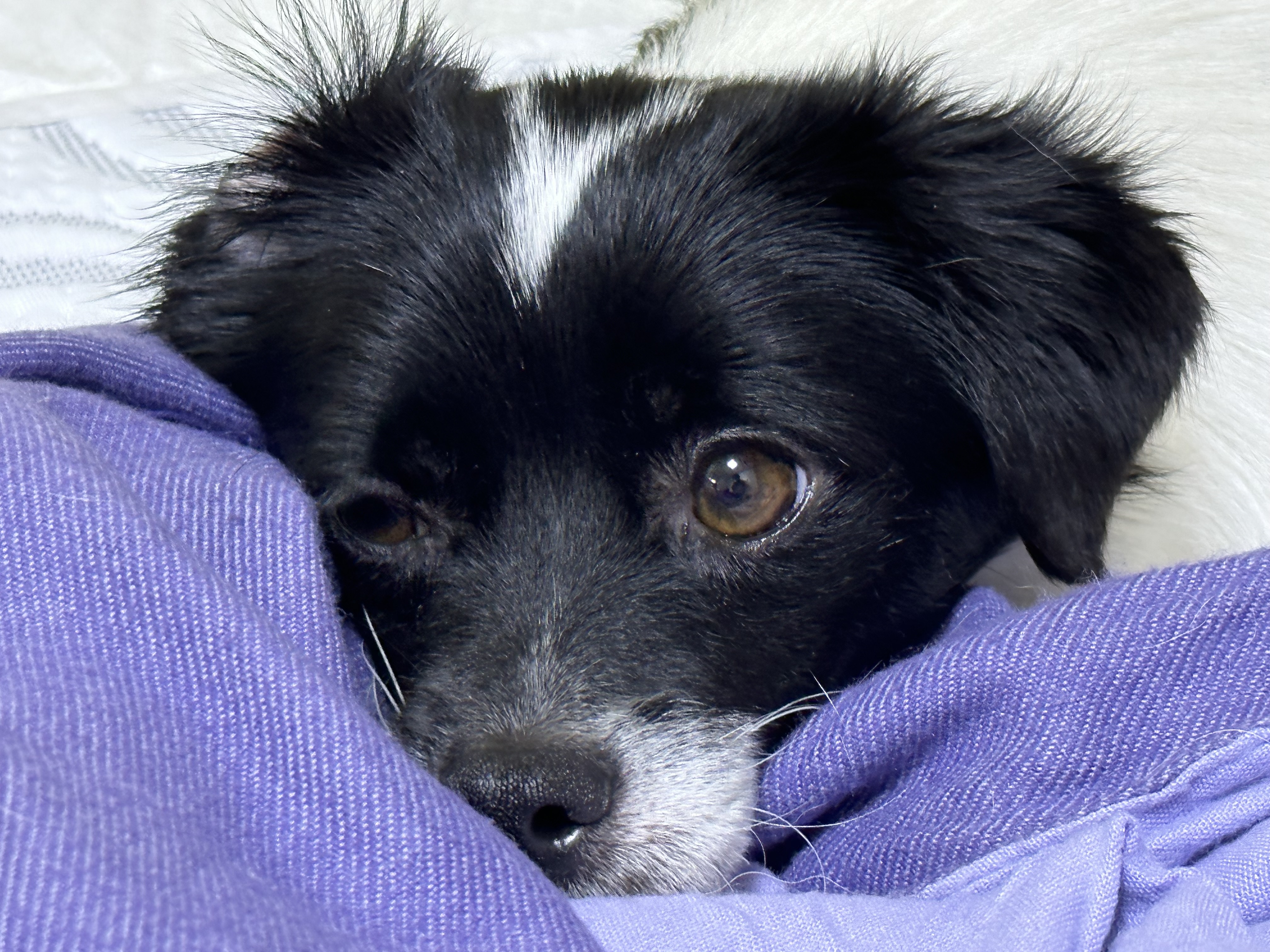 다온이(루루) 3개월 차