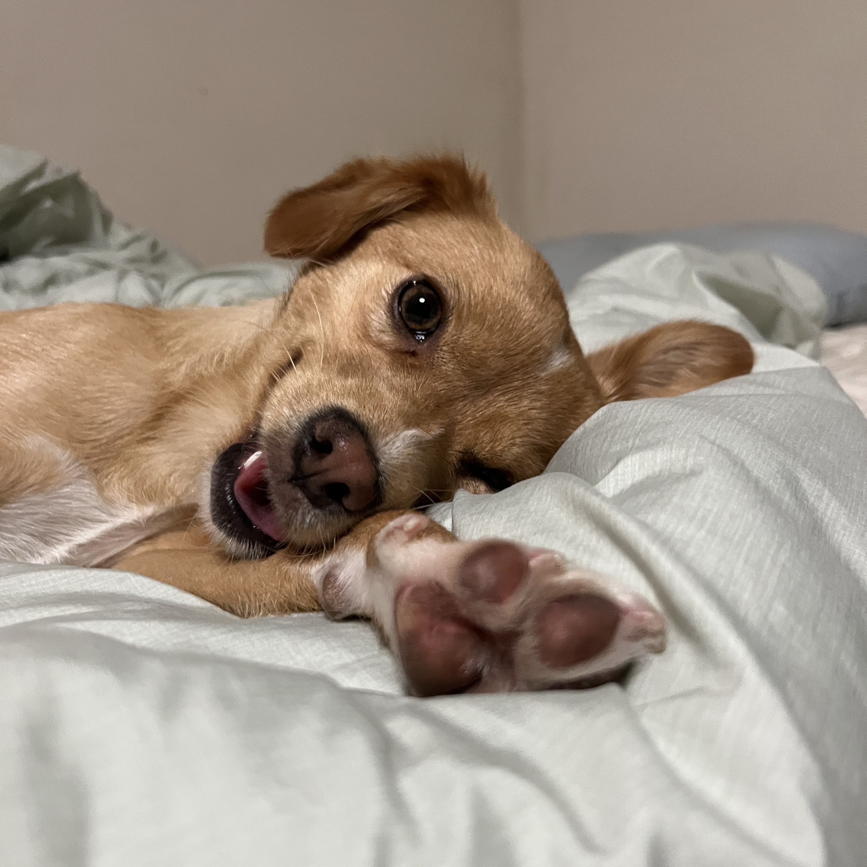 뽀또(이포)의 행복한 막내일기 <3>